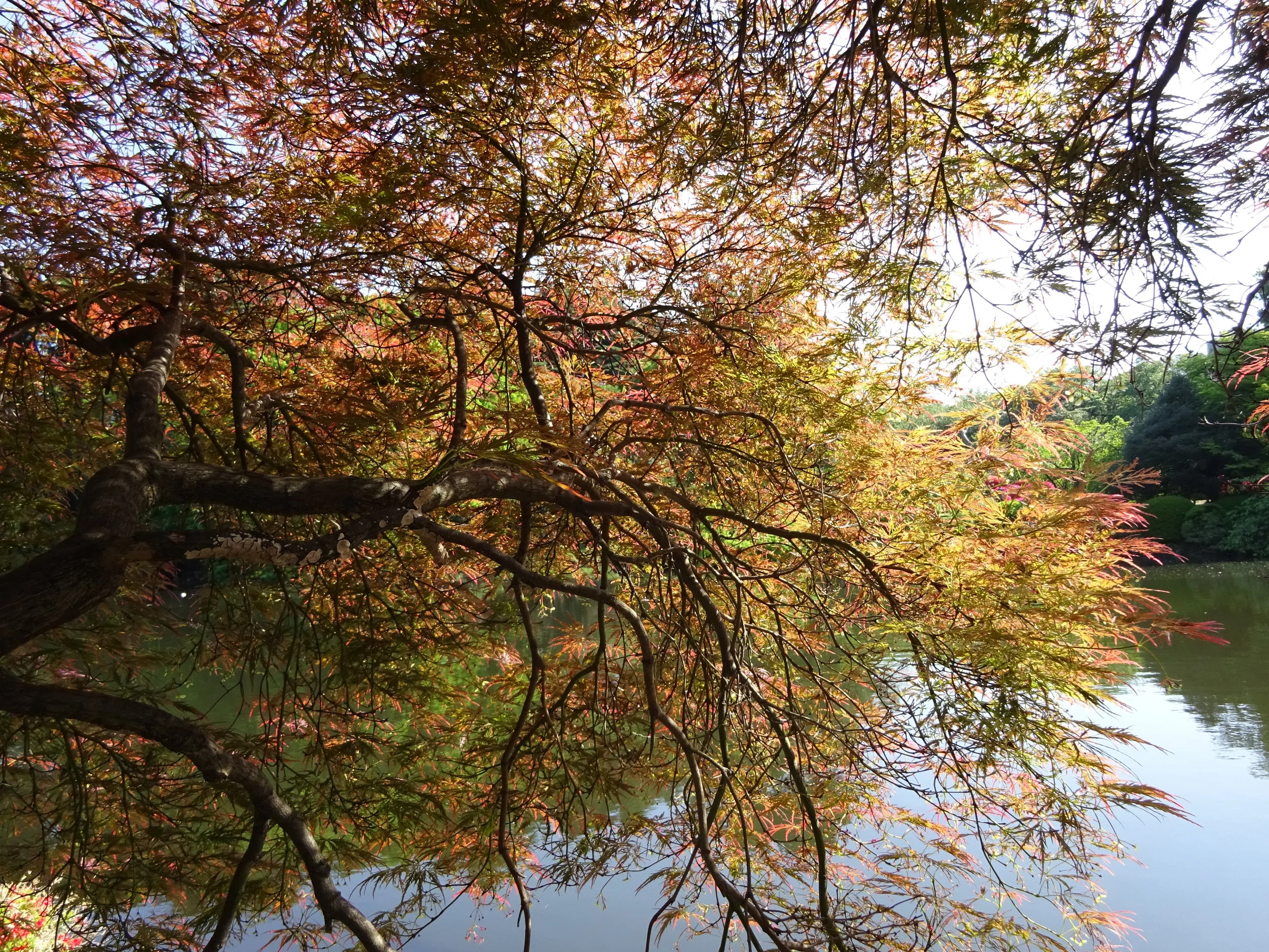 Message à regarder, lire et méditer