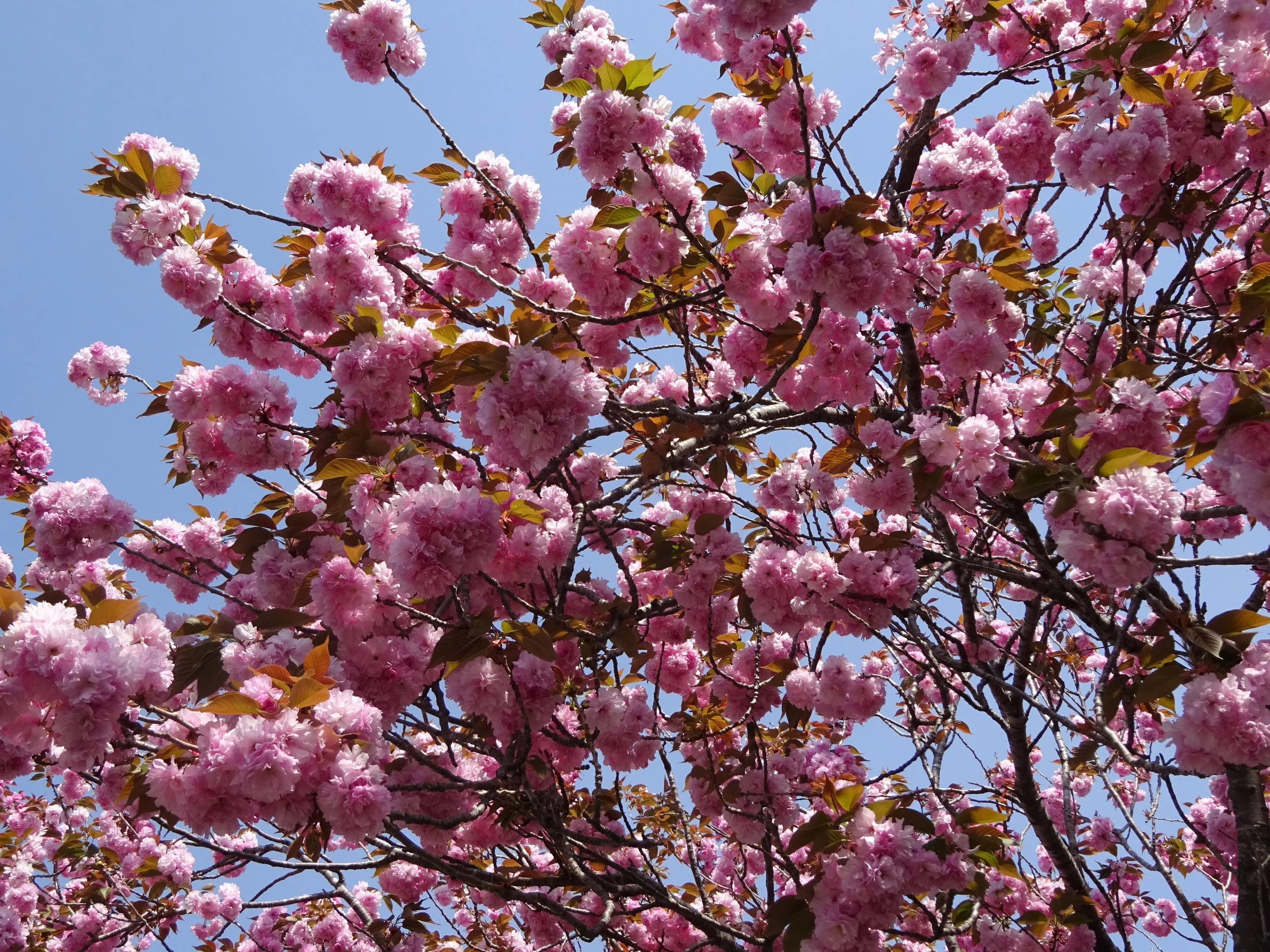 Message à regarder, lire et méditer