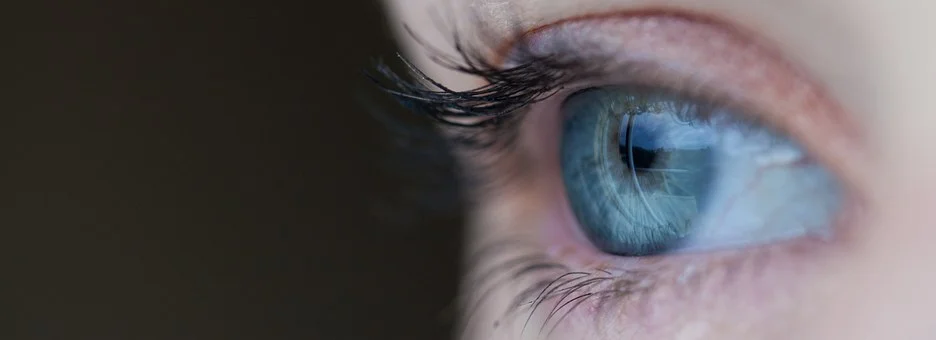 eye-691269__340.jpg