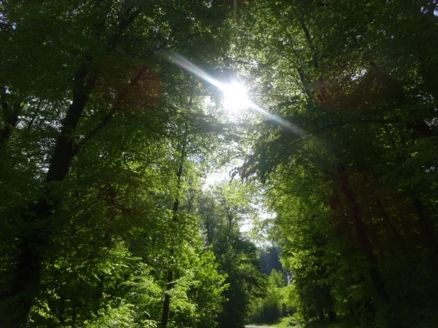 Message à regarder, lire et méditer
