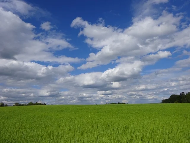 Message à regarder, lire et méditer