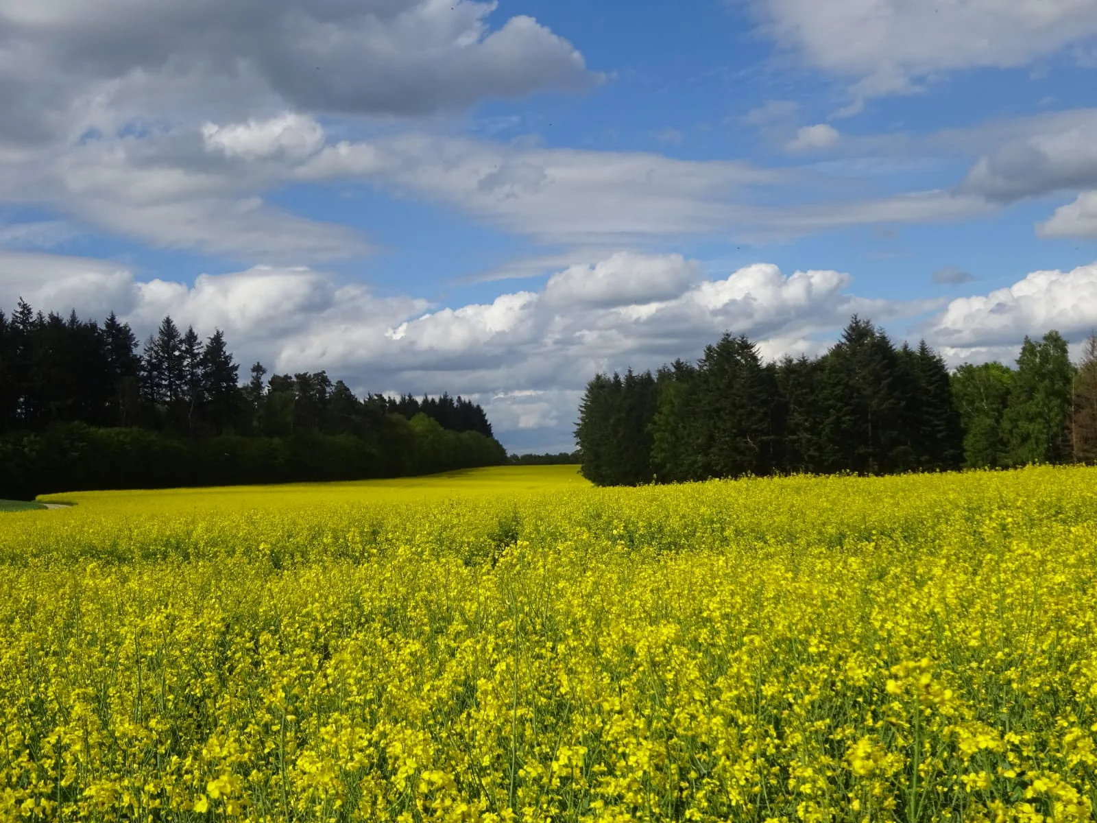 Message à regarder, lire et méditer