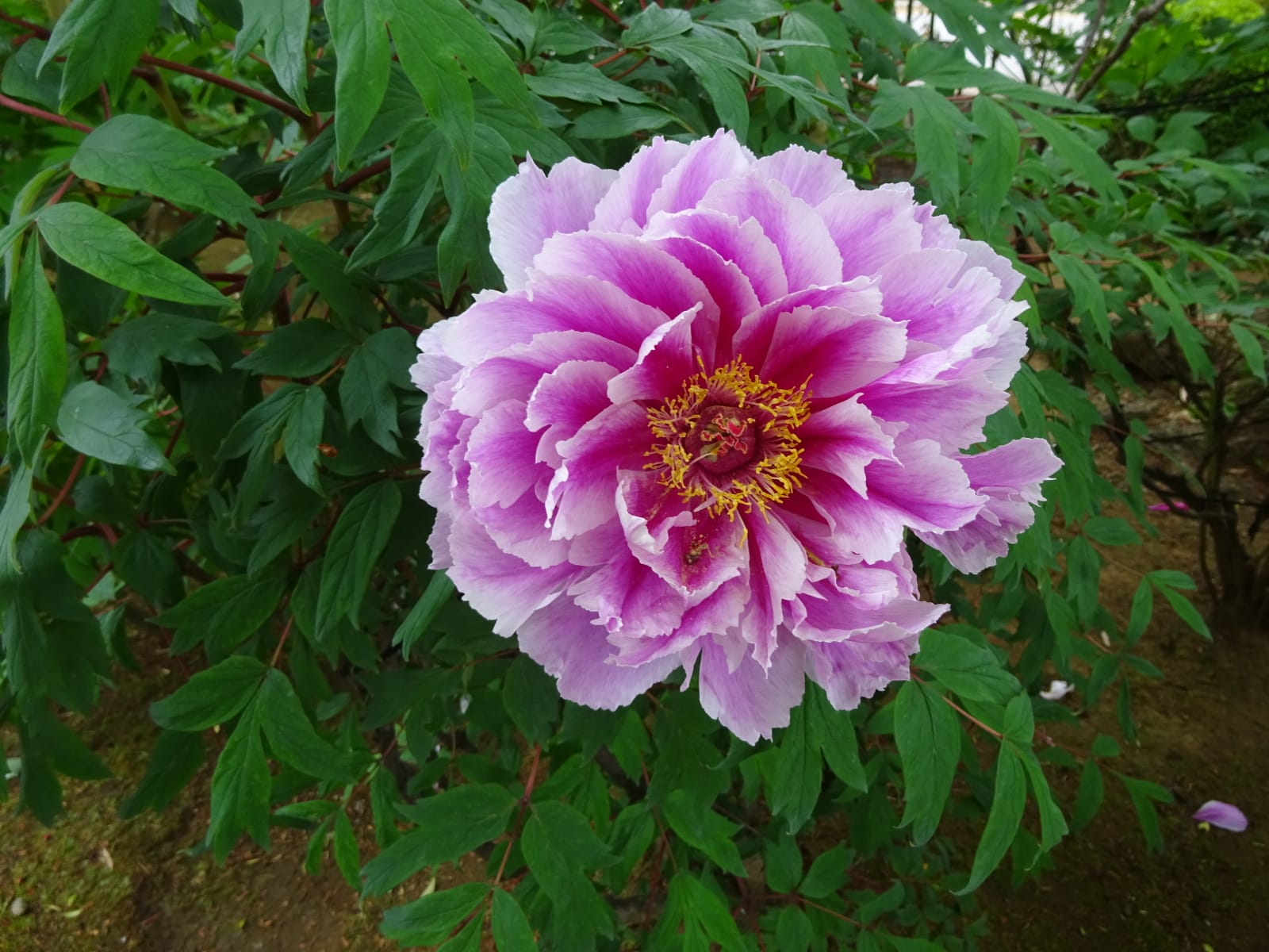 Message à regarder, lire et méditer