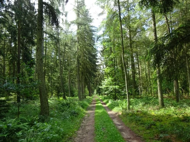 Message à regarder, lire et méditer