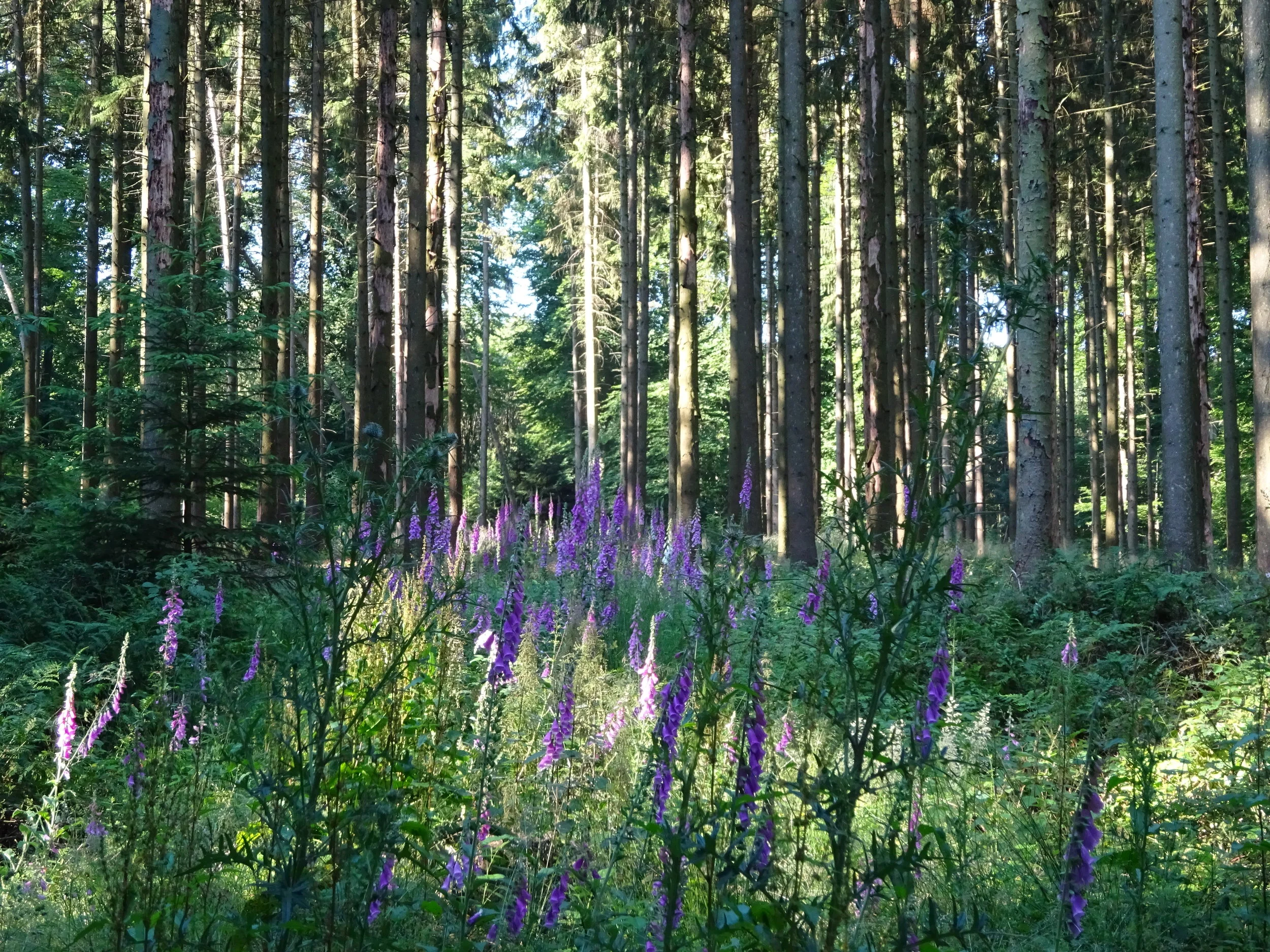 Message à regarder, lire et méditer