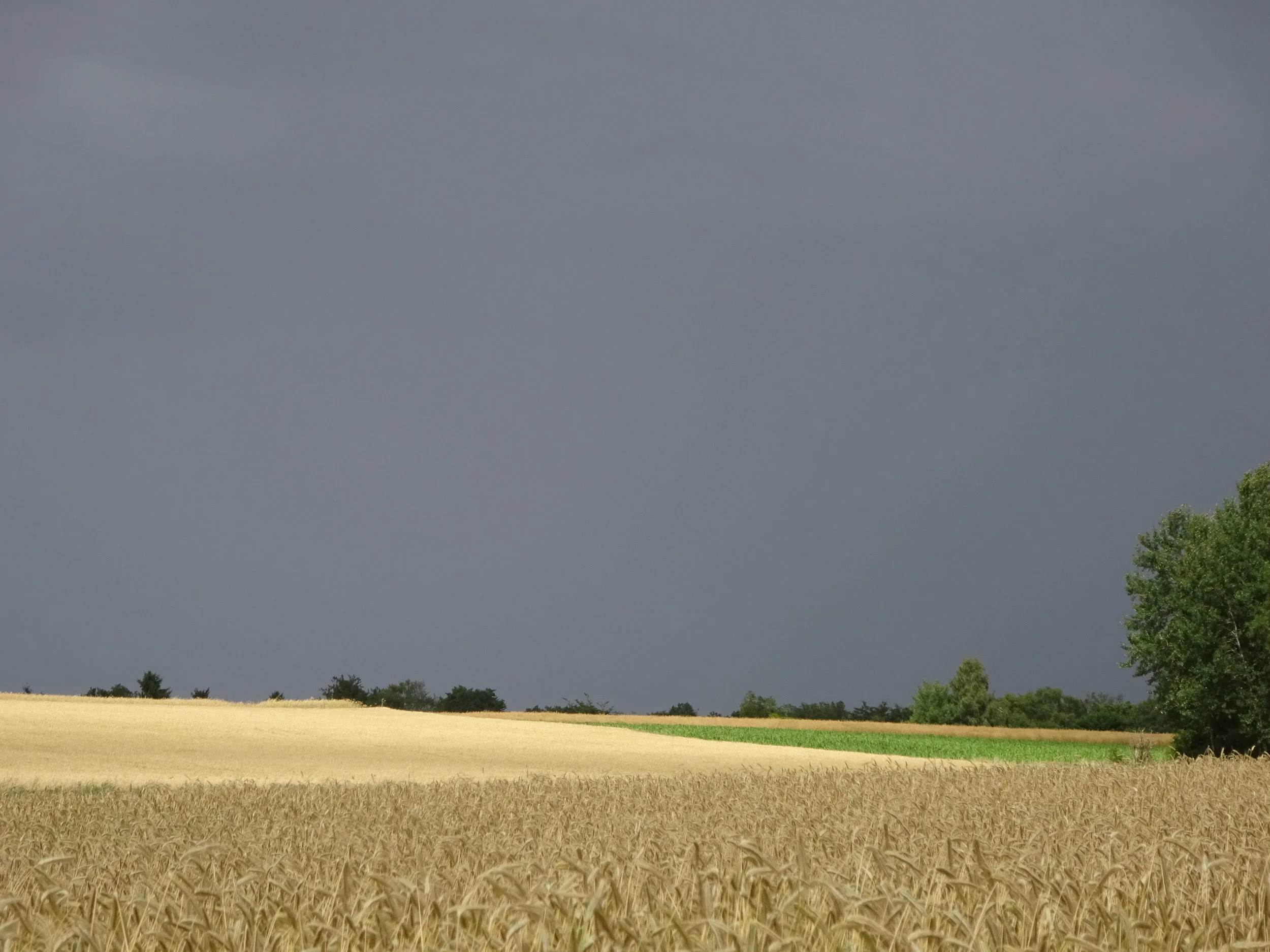 Message à regarder, lire et méditer