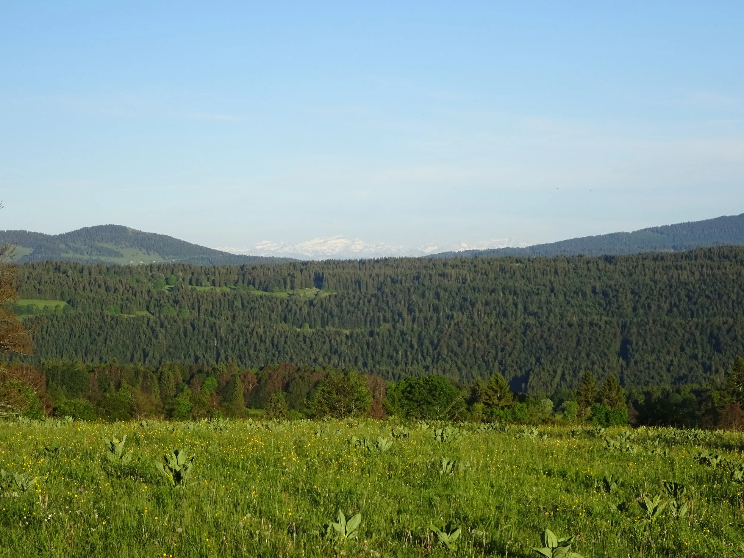  Message à regarder, lire et méditer