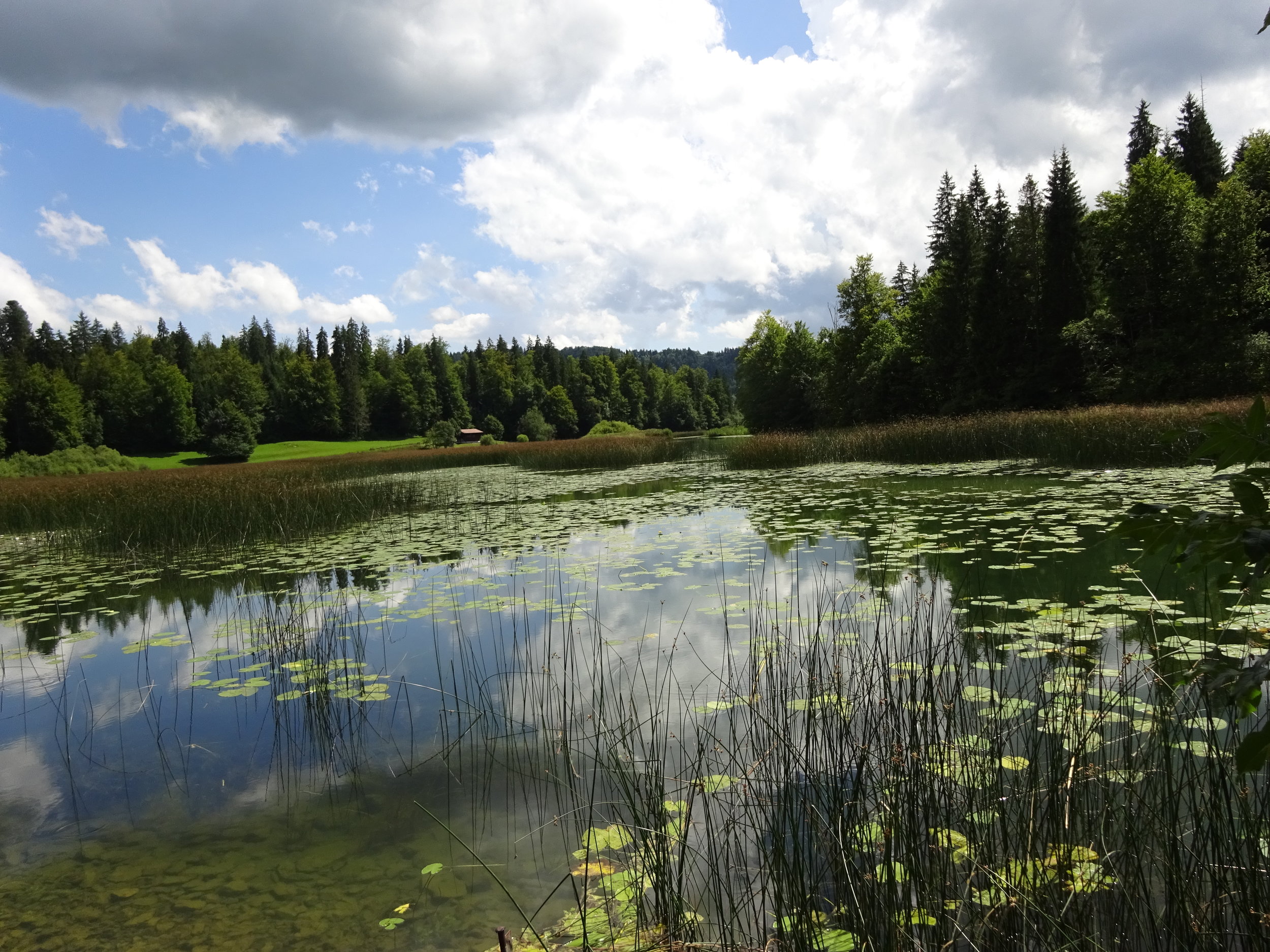  Message à regarder, lire et méditer