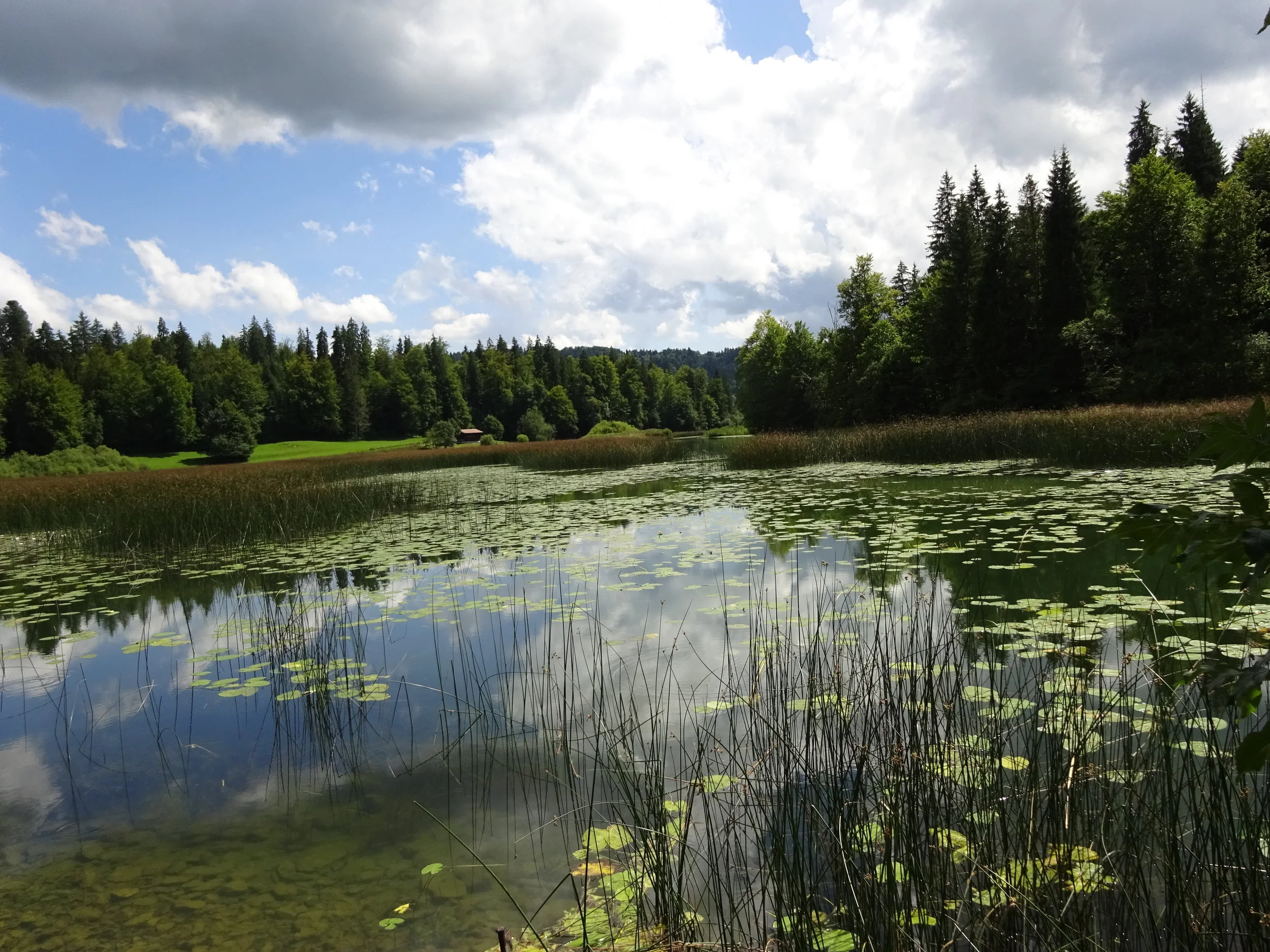  Message à regarder, lire et méditer