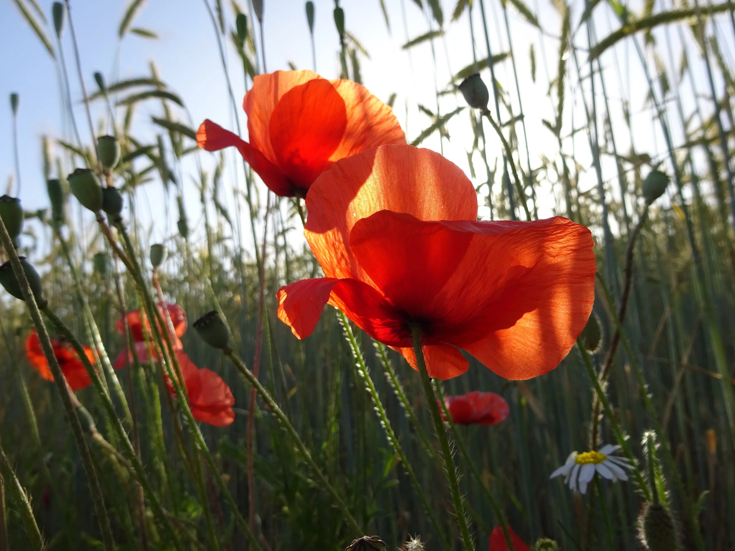Message à regarder, lire et méditer