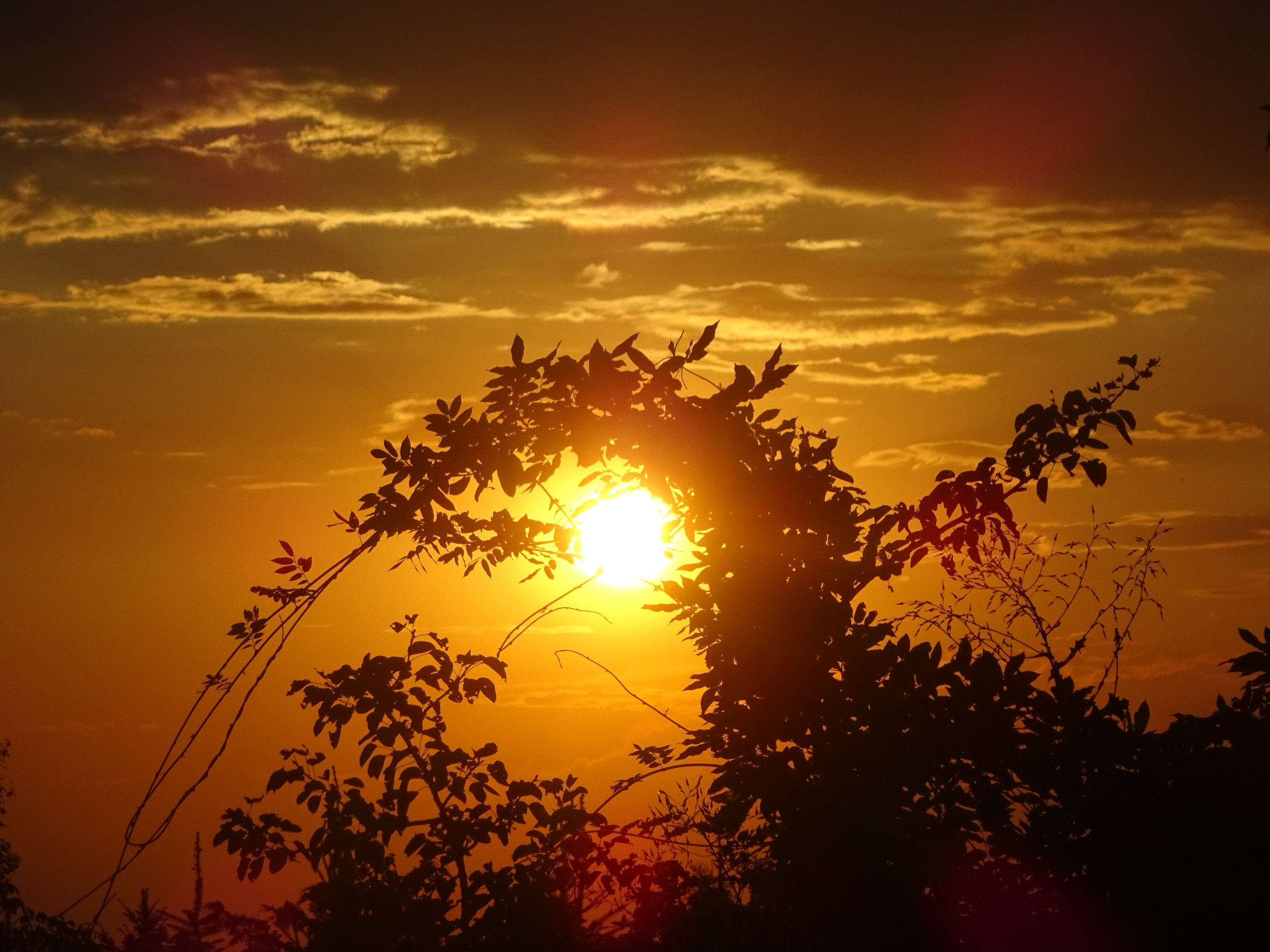  Message à regarder, lire et méditer