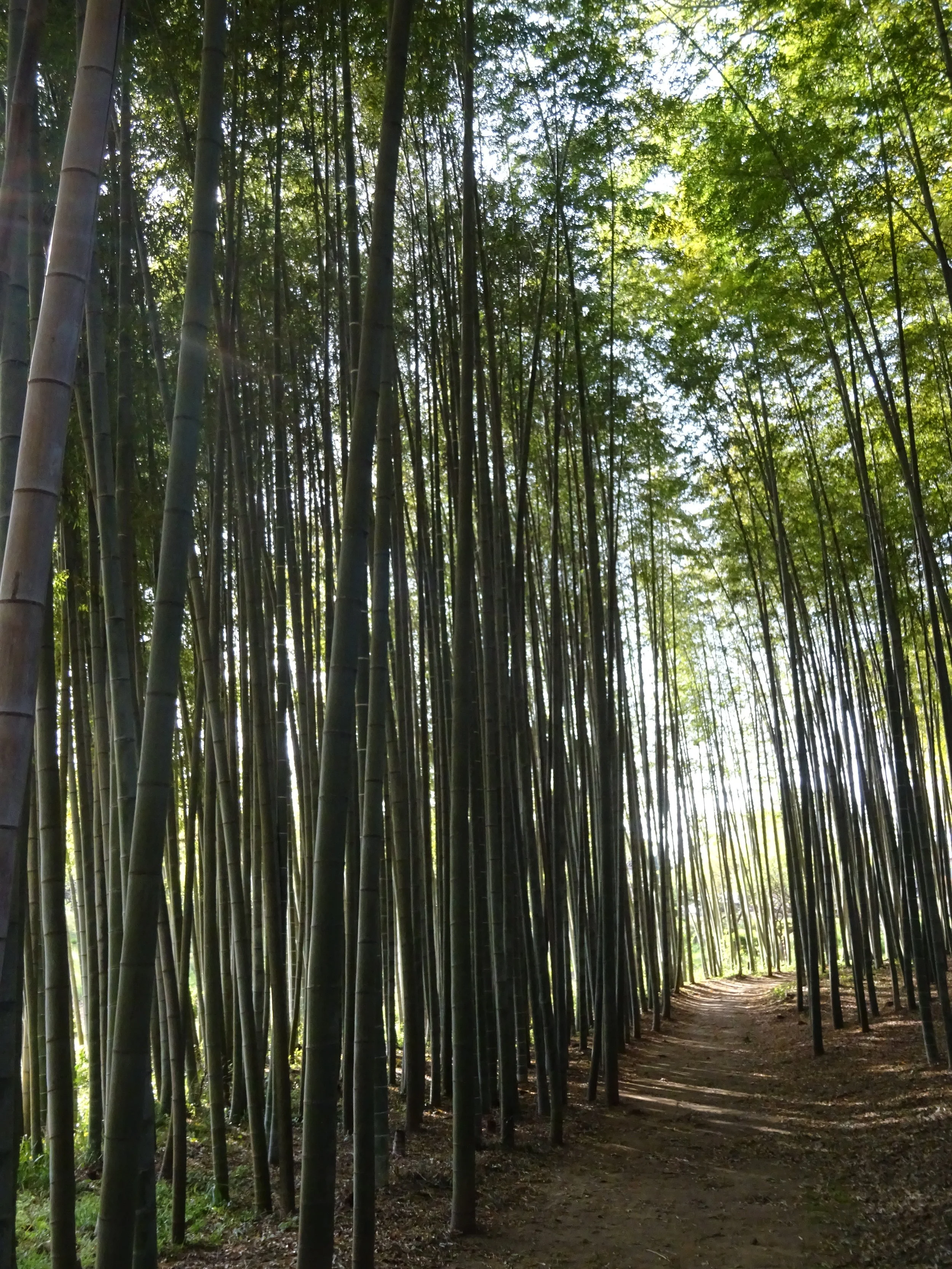 Message à regarder, lire et méditer