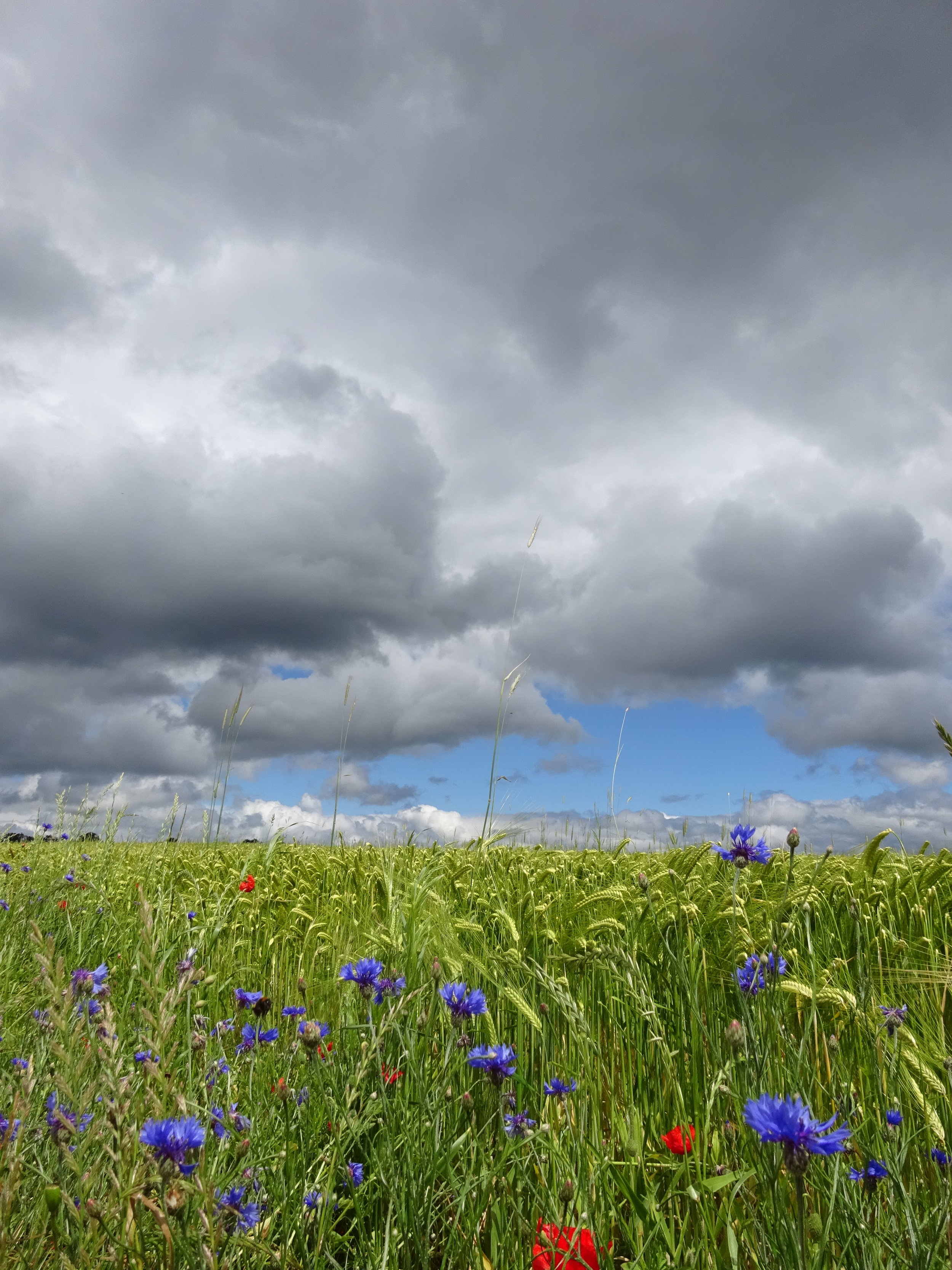 Message à regarder, lire et méditer