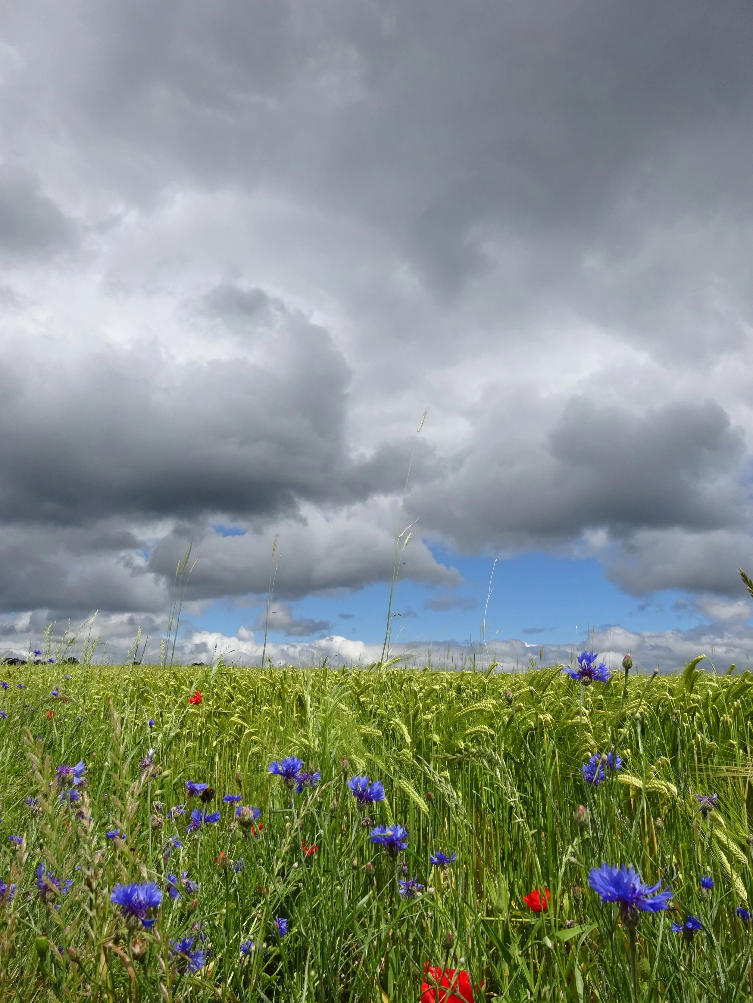 Message à regarder, lire et méditer