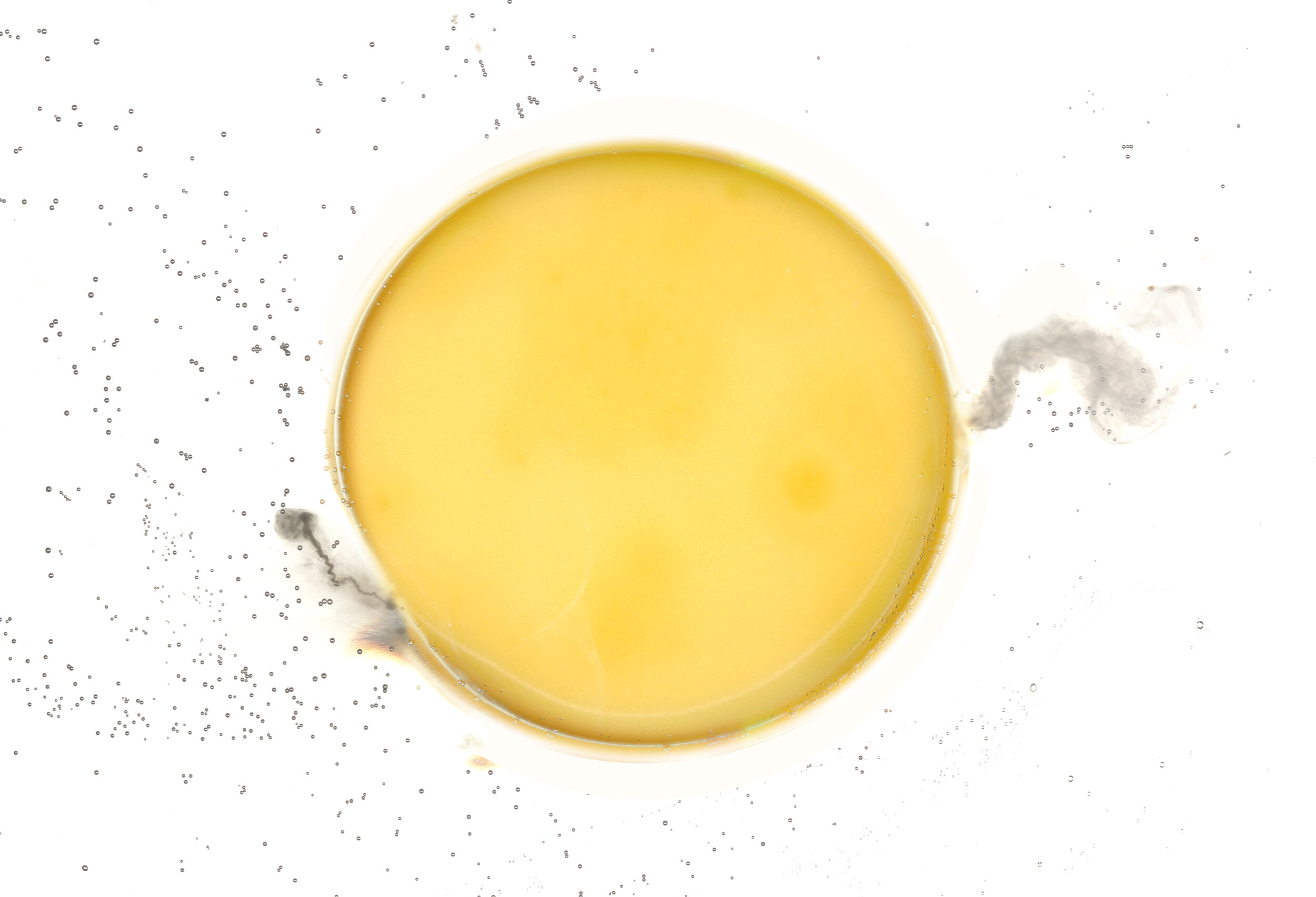 AdobeStock_2784280.jpeg