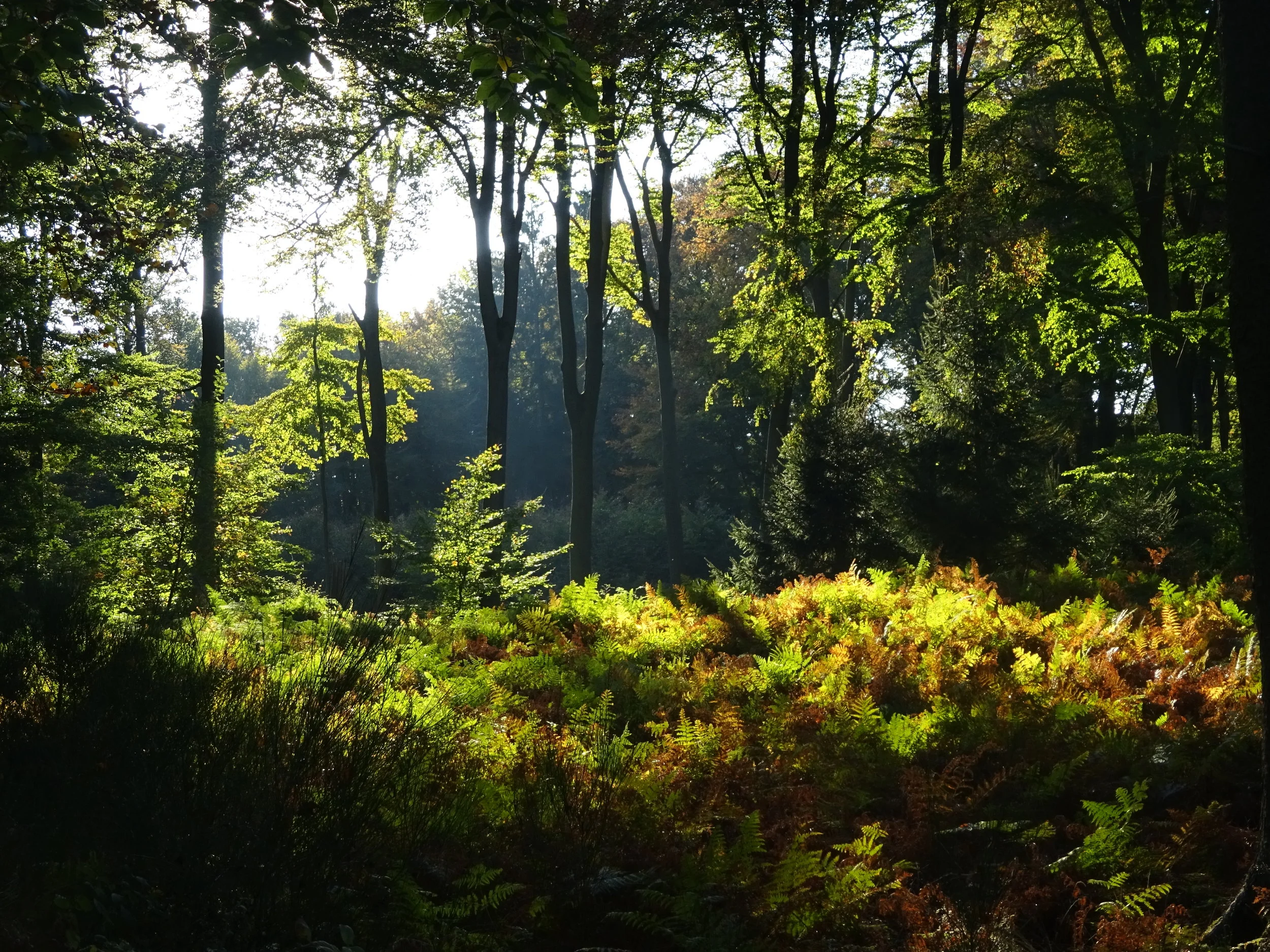 Message à regarder, lire et méditer