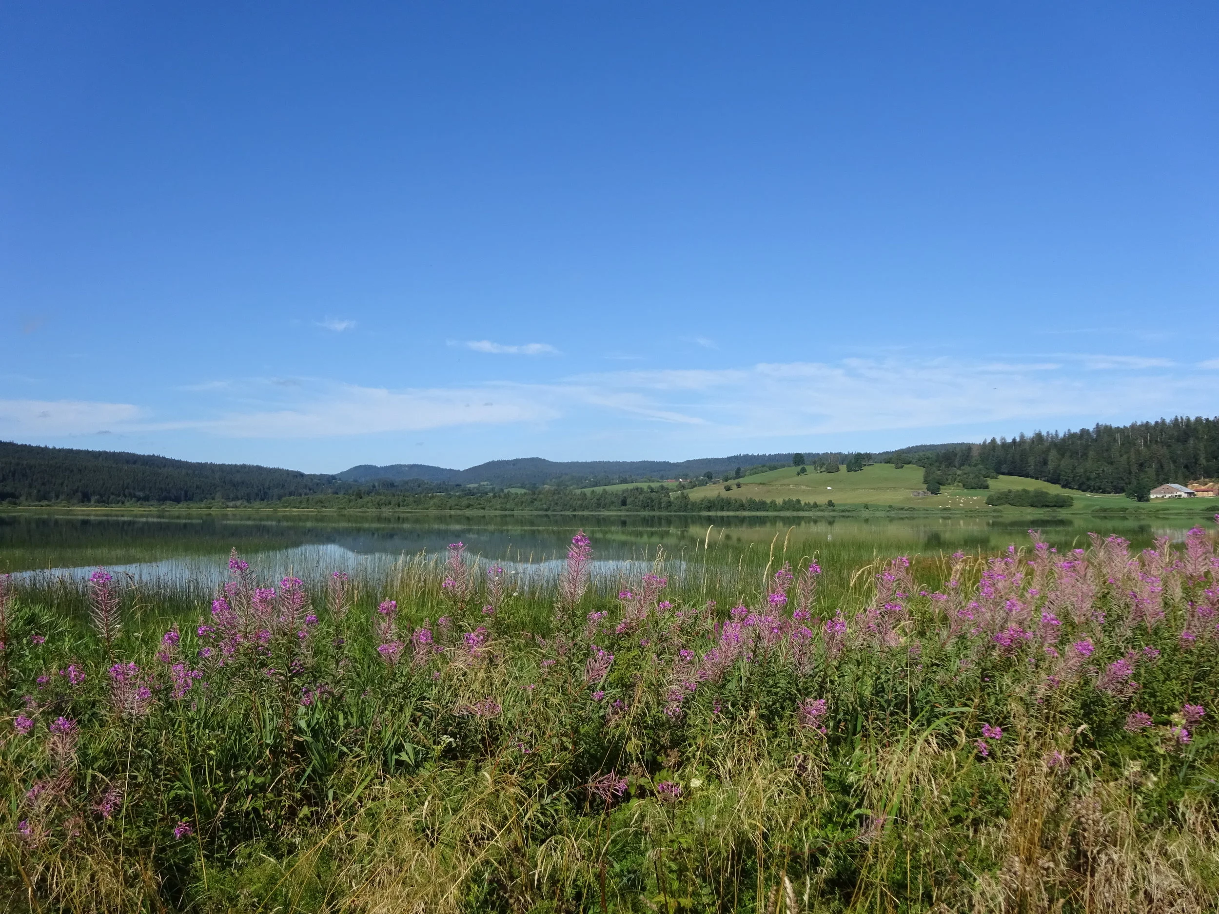 Message à regarder, lire et méditer