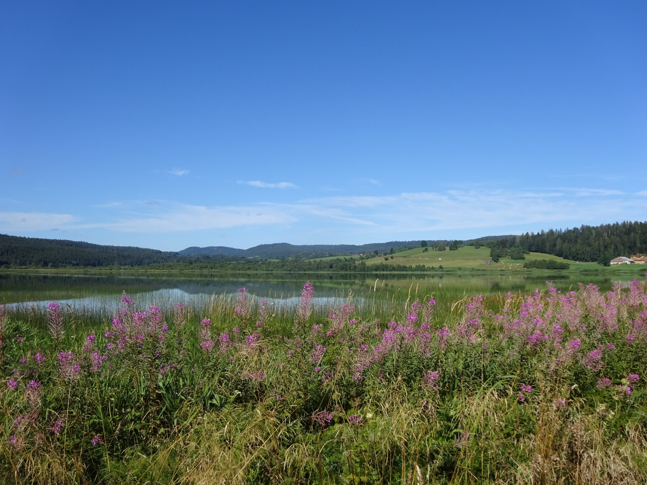 Message à regarder, lire et méditer