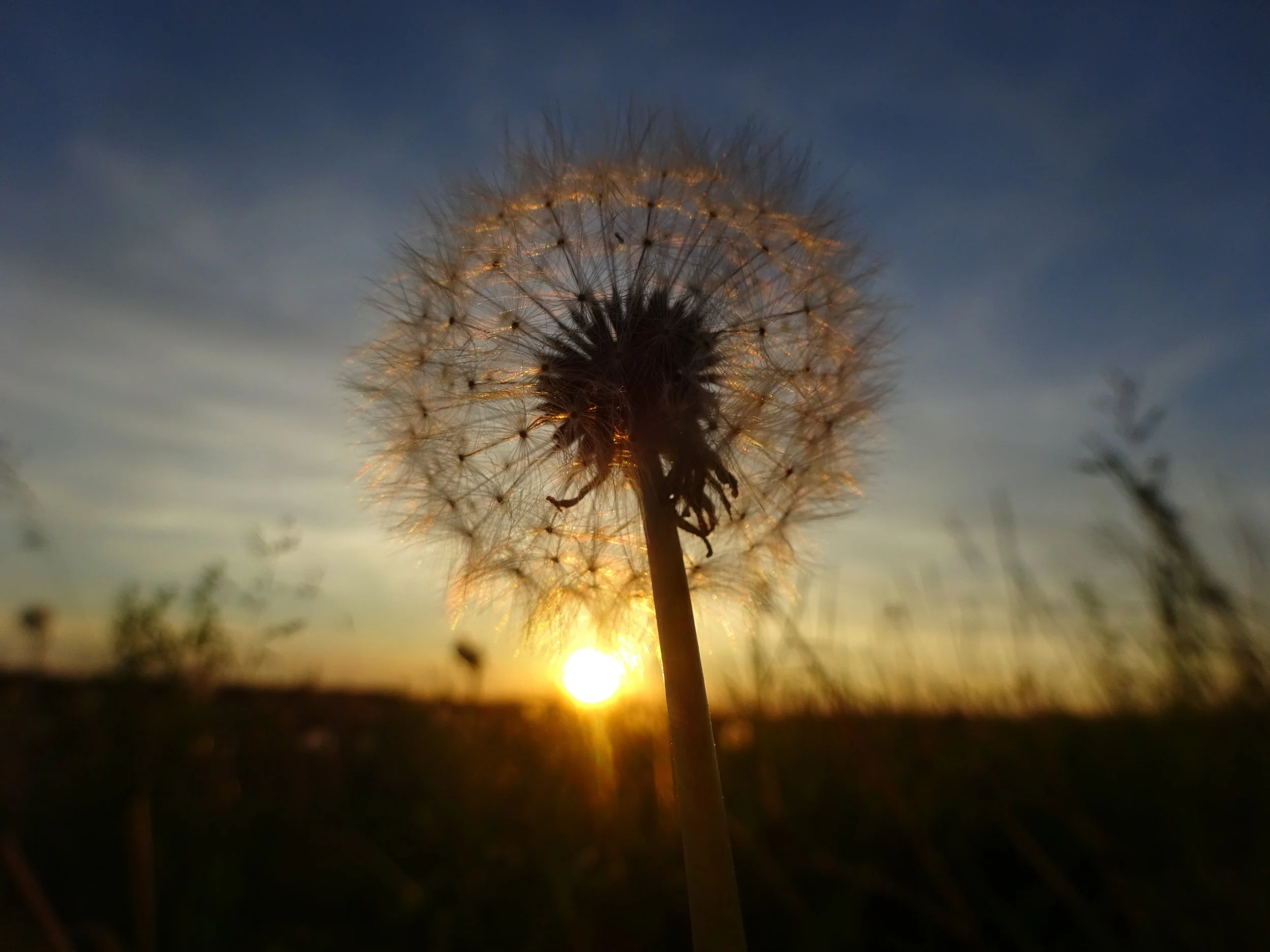 Message à regarder, lire et méditer
