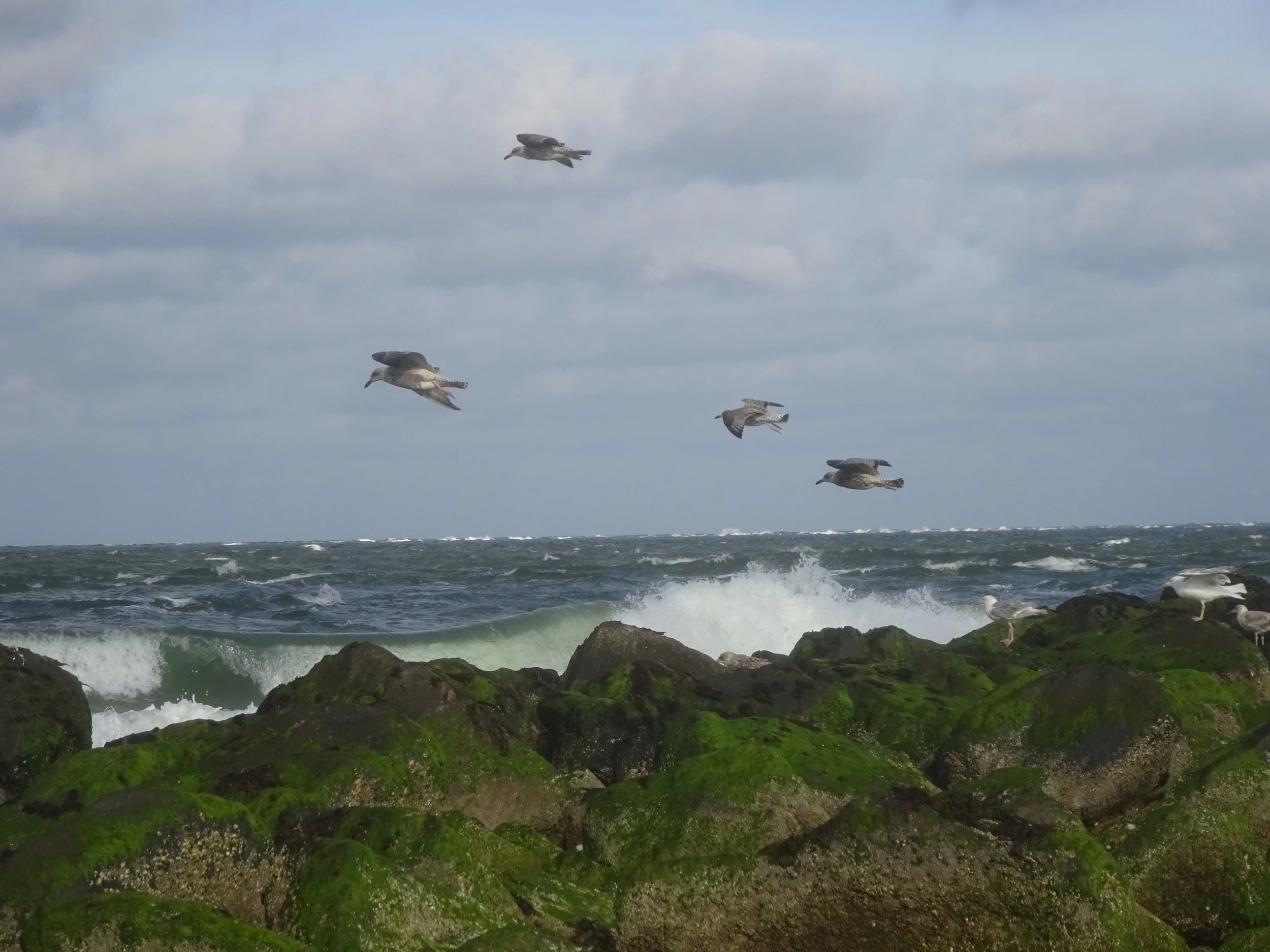 Message à regarder, lire et méditer