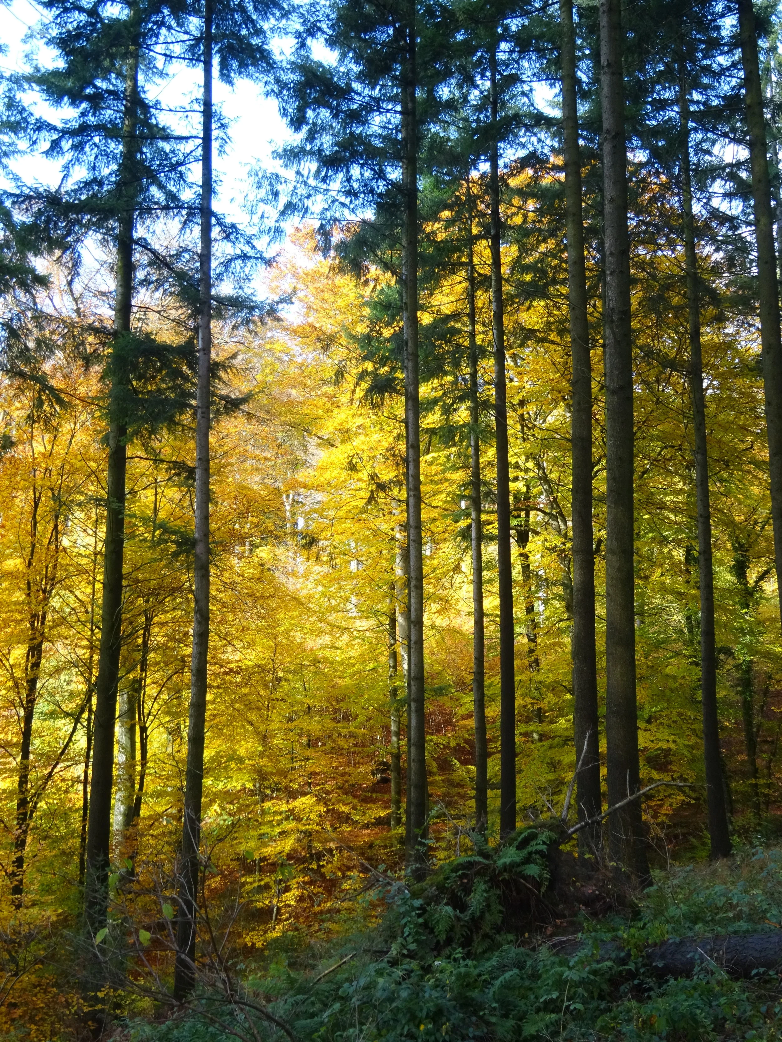 Message à regarder, lire et méditer