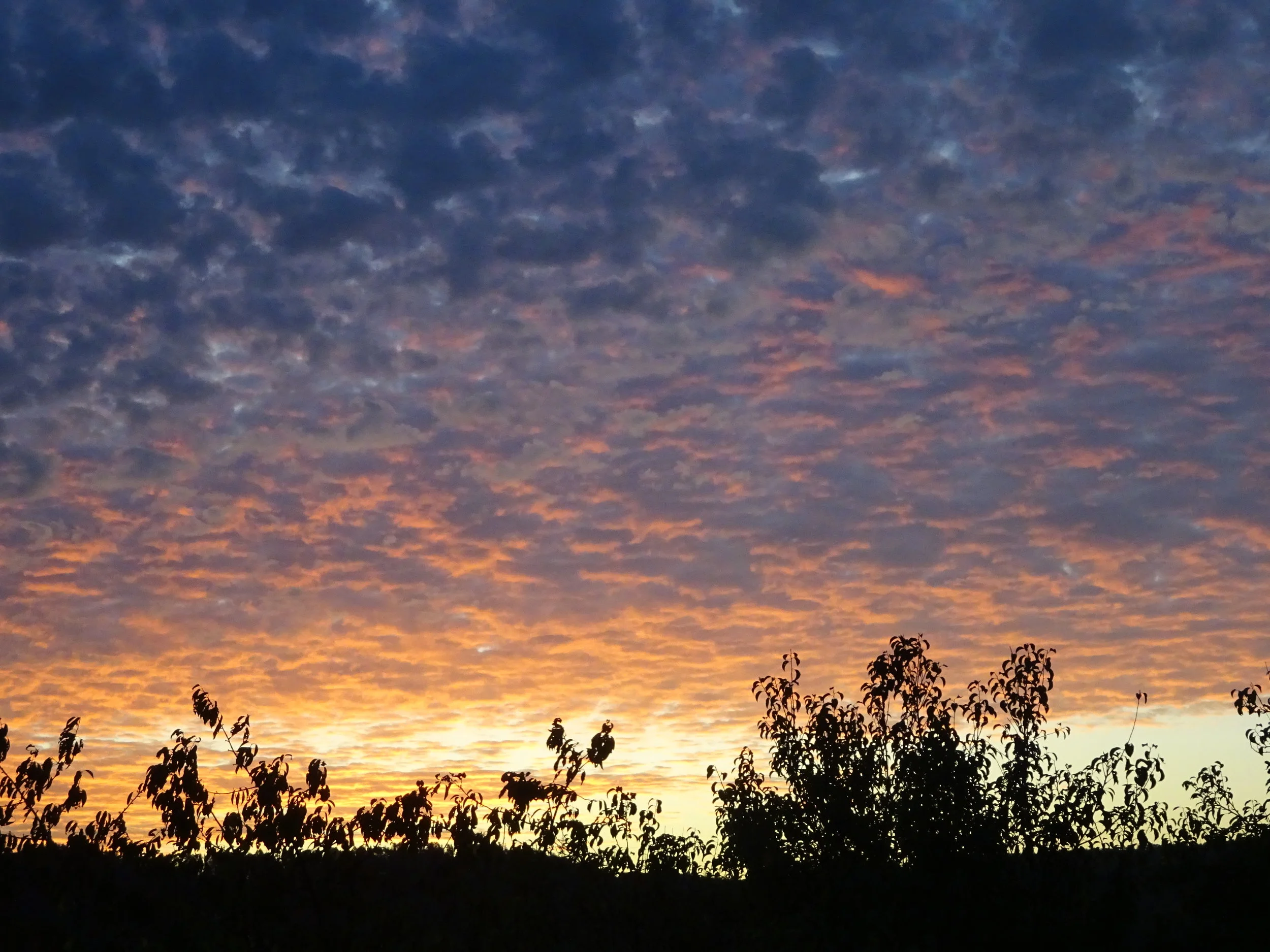 Message à regarder, lire et méditer