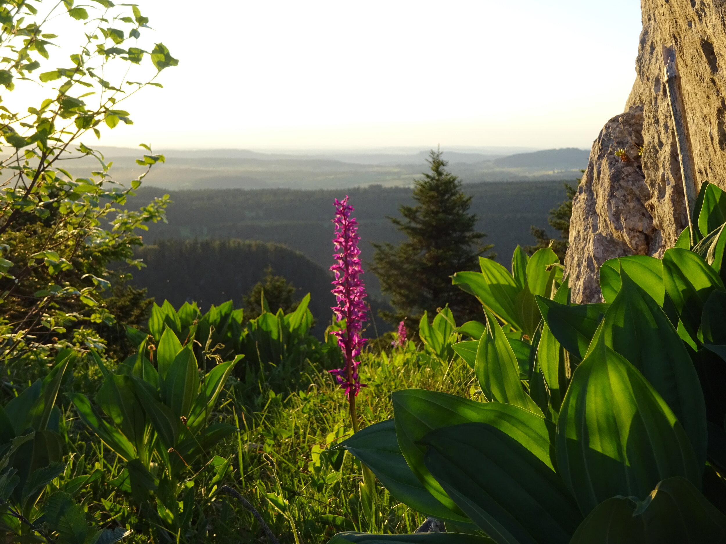  Message à regarder, lire et méditer