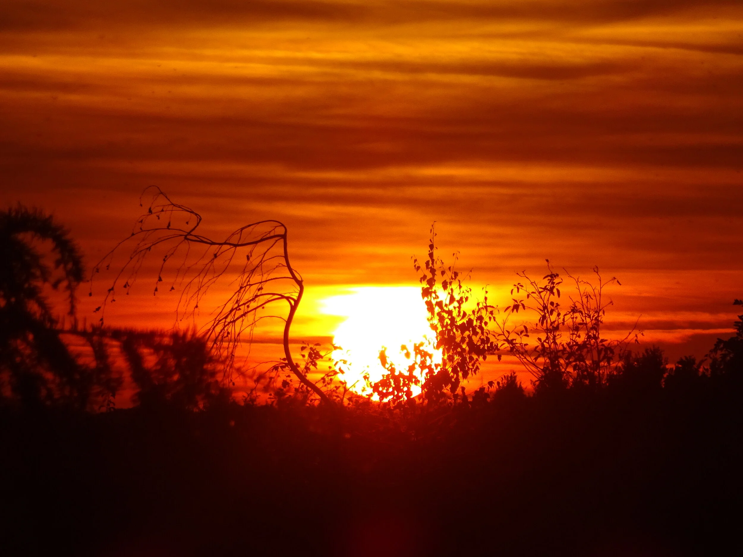 Message à regarder, lire et méditer