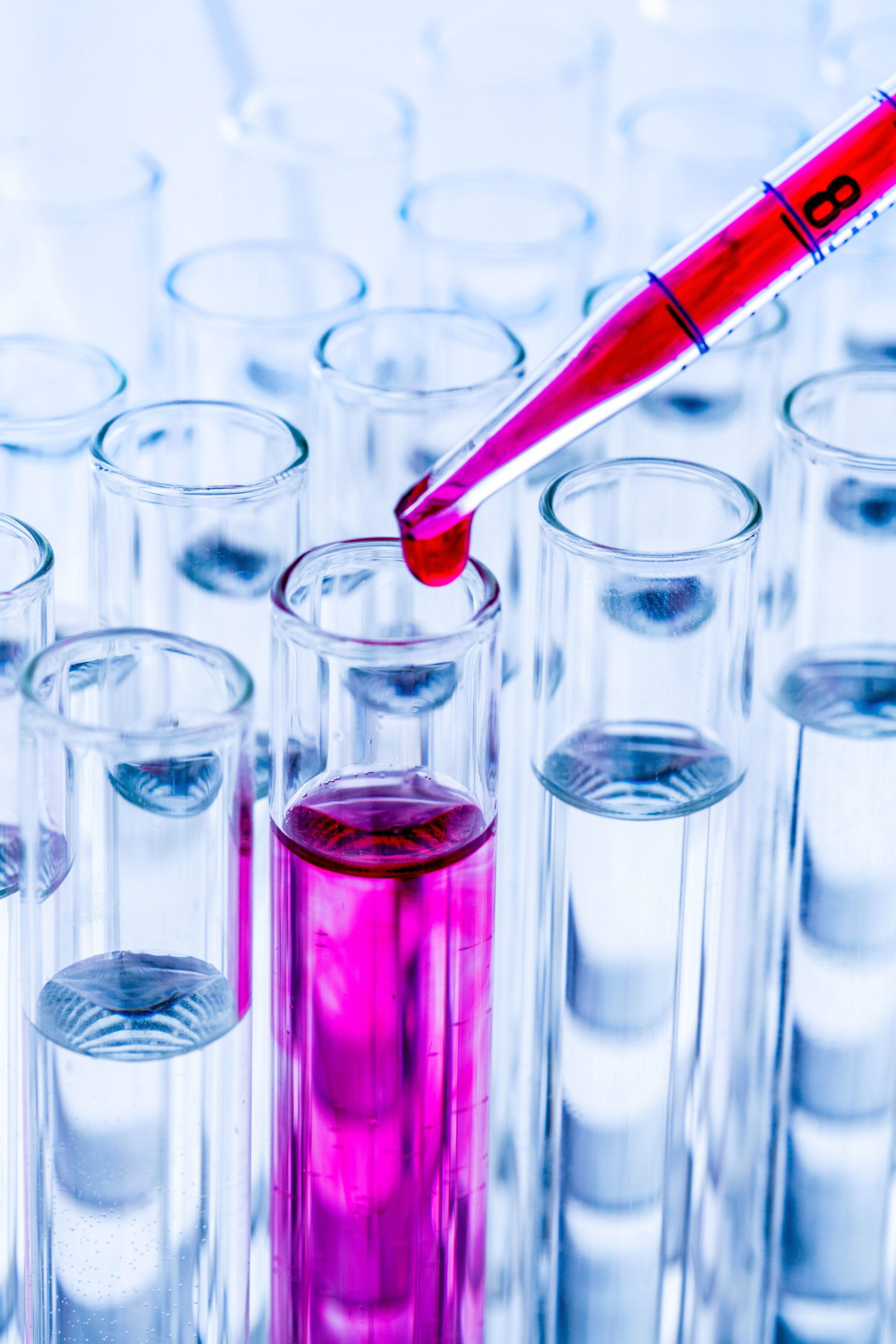 IMAGES BLOG CANCER DU SEIN 333.jpg