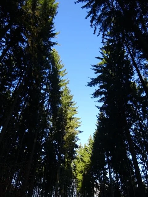 Message à regarder, lire et méditer