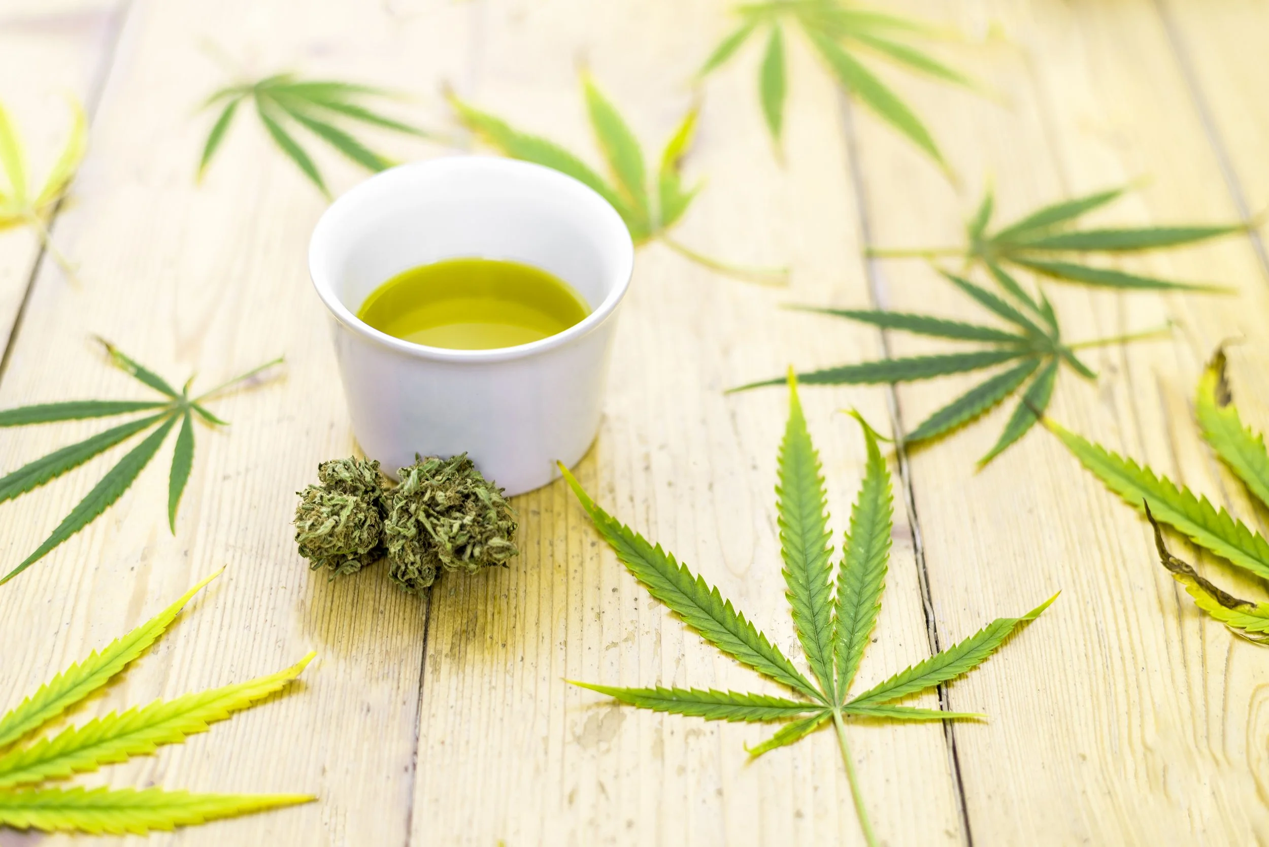 Le cannabis guérit-il le cancer ?
