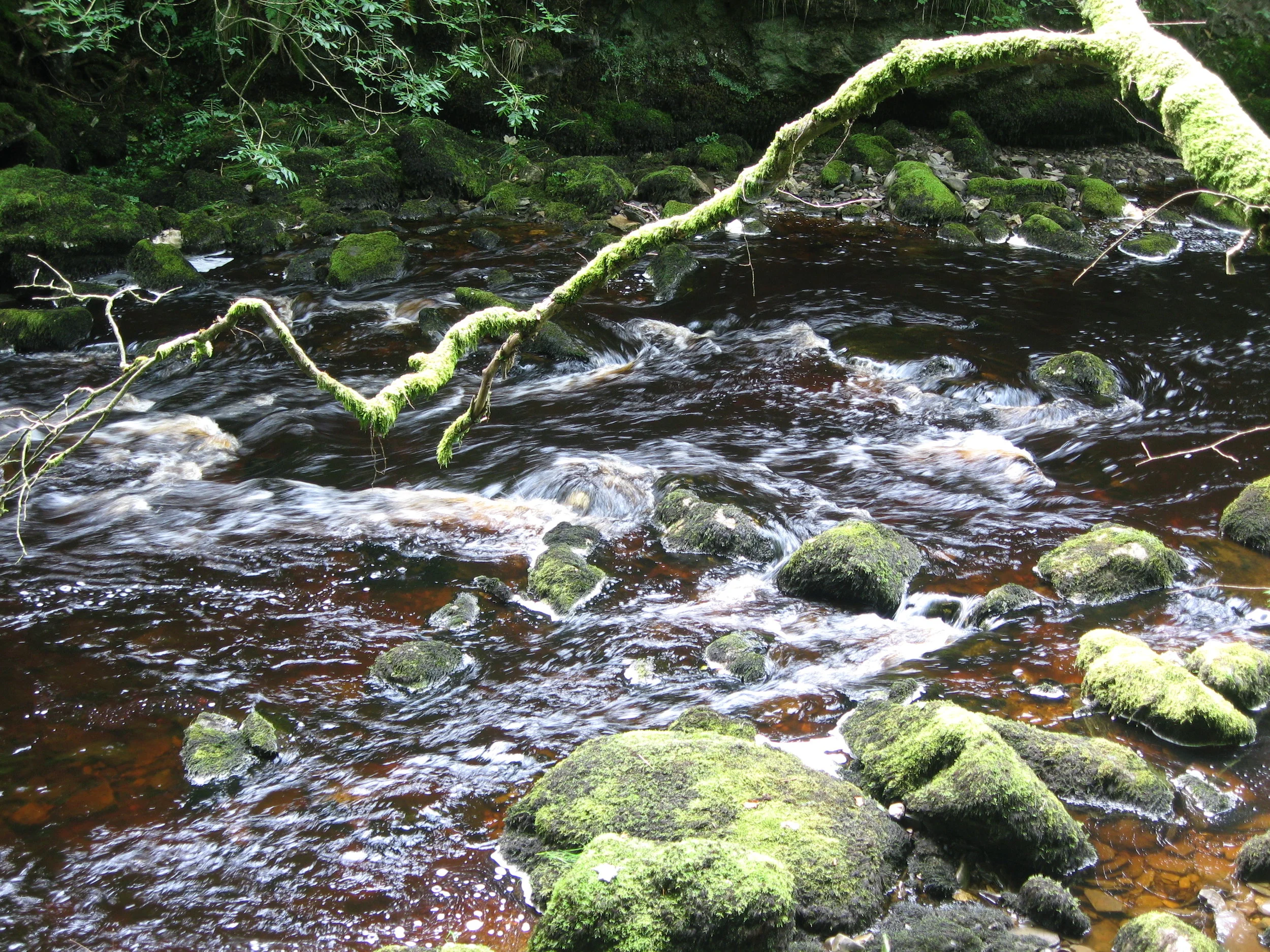 Catchment-based approach - pilot stage