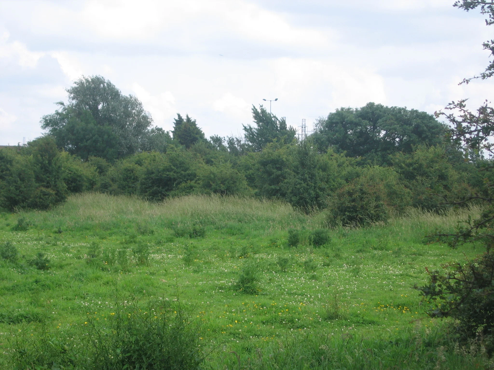 EVALUATION OF THE BIODIVERSITY OFFSETTING PILOT PHASE
