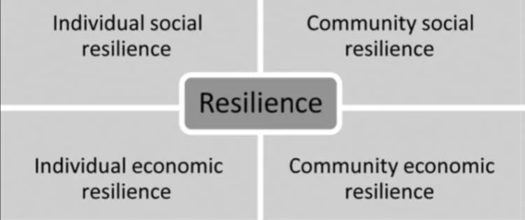 The REA identified many definitions of resilience. Steiner and Markantoni (2013) introduced the four components of "social resilience" which, with other frameworks and approaches, supported the development of an indicator framework for flood resilience for the pathfinder communities.