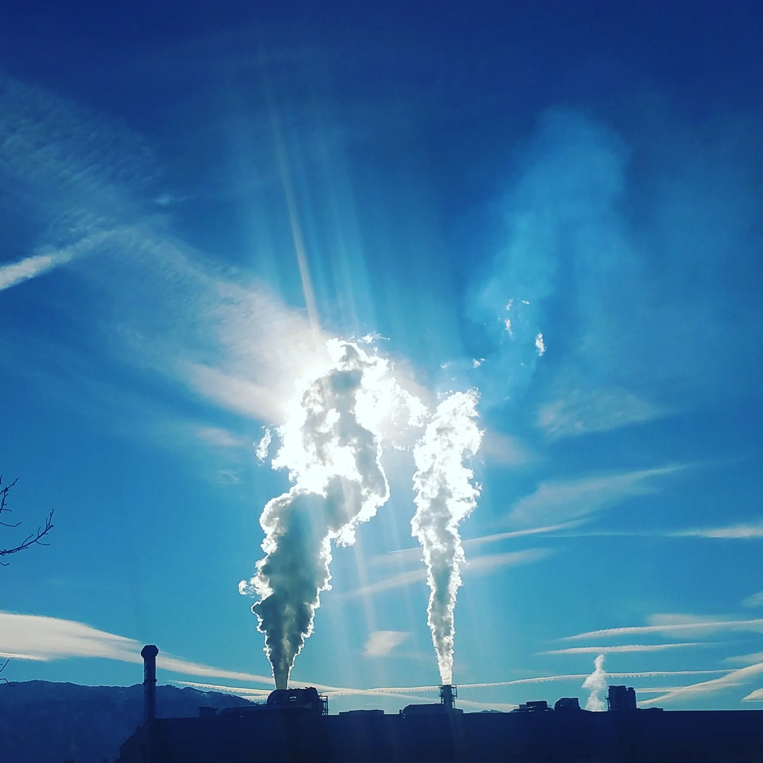 Understanding emerging issues and megatrends