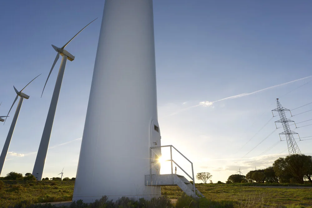 CEP to support an evaluation of the Zero Carbon Britain Project for Centre for Alternative Technology