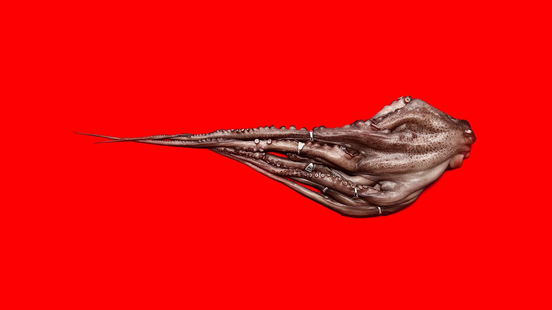 offgall3.jpg