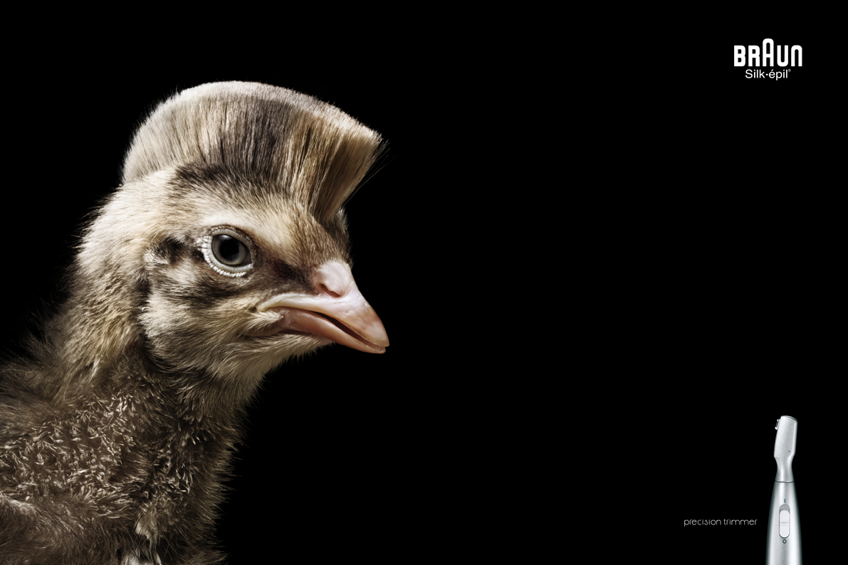 Braun_Animals_ 60x402.jpg