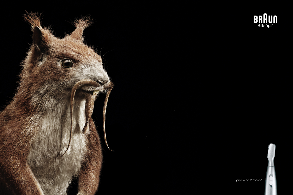 Braun_Animals_ 60x403.jpg