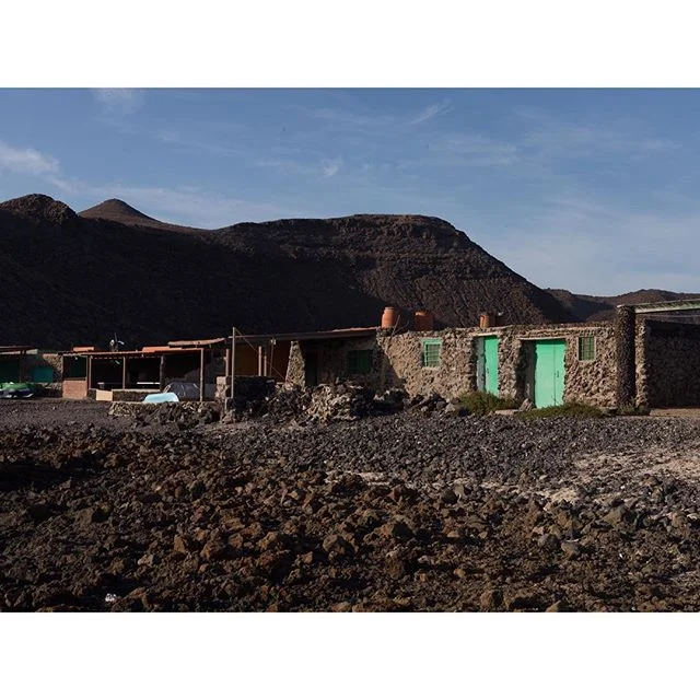 #Jacomar y punto. Wild #fuerteventura 🏇