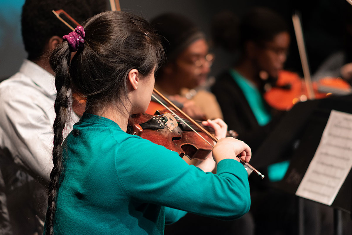 Adult Orchestra