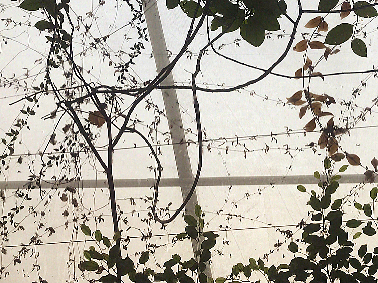 C5EAB670-0438-485B-9866-80970C7653FF.jpeg