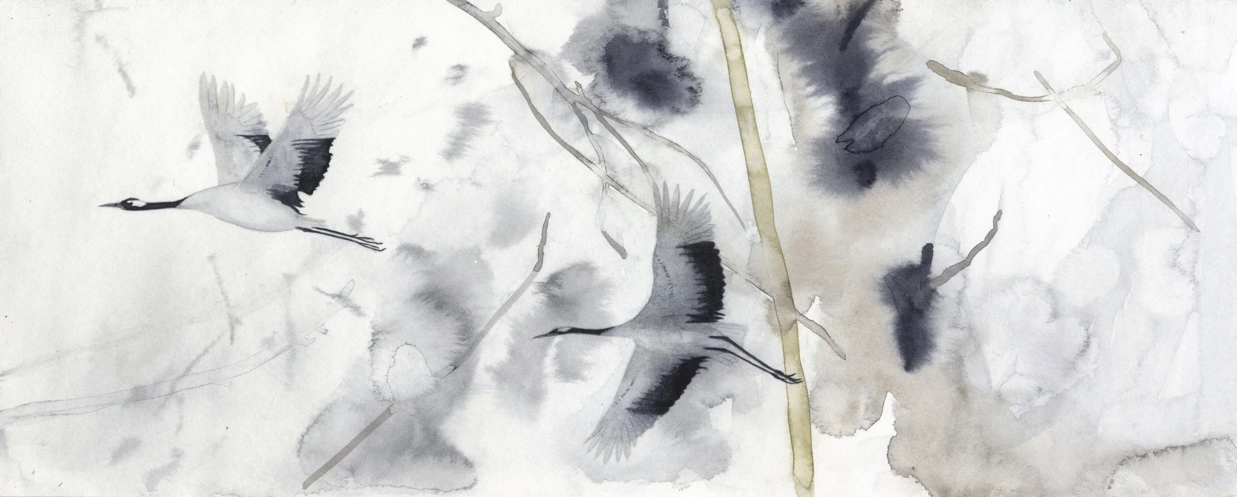 cranes in the sky by Lindsay McDonagh.jpg