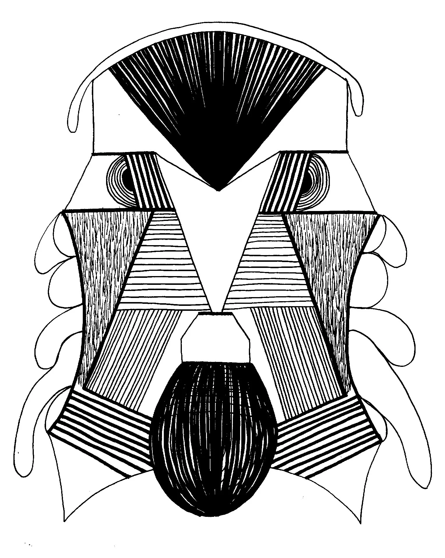 07-face.jpg