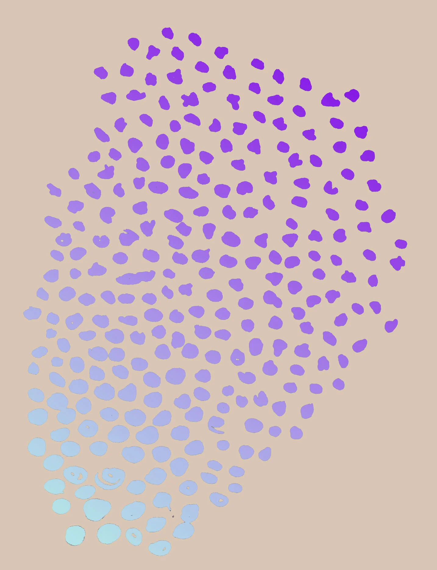 blumen.jpg