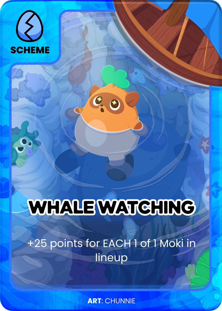 whaleWatching_OpenSea.png