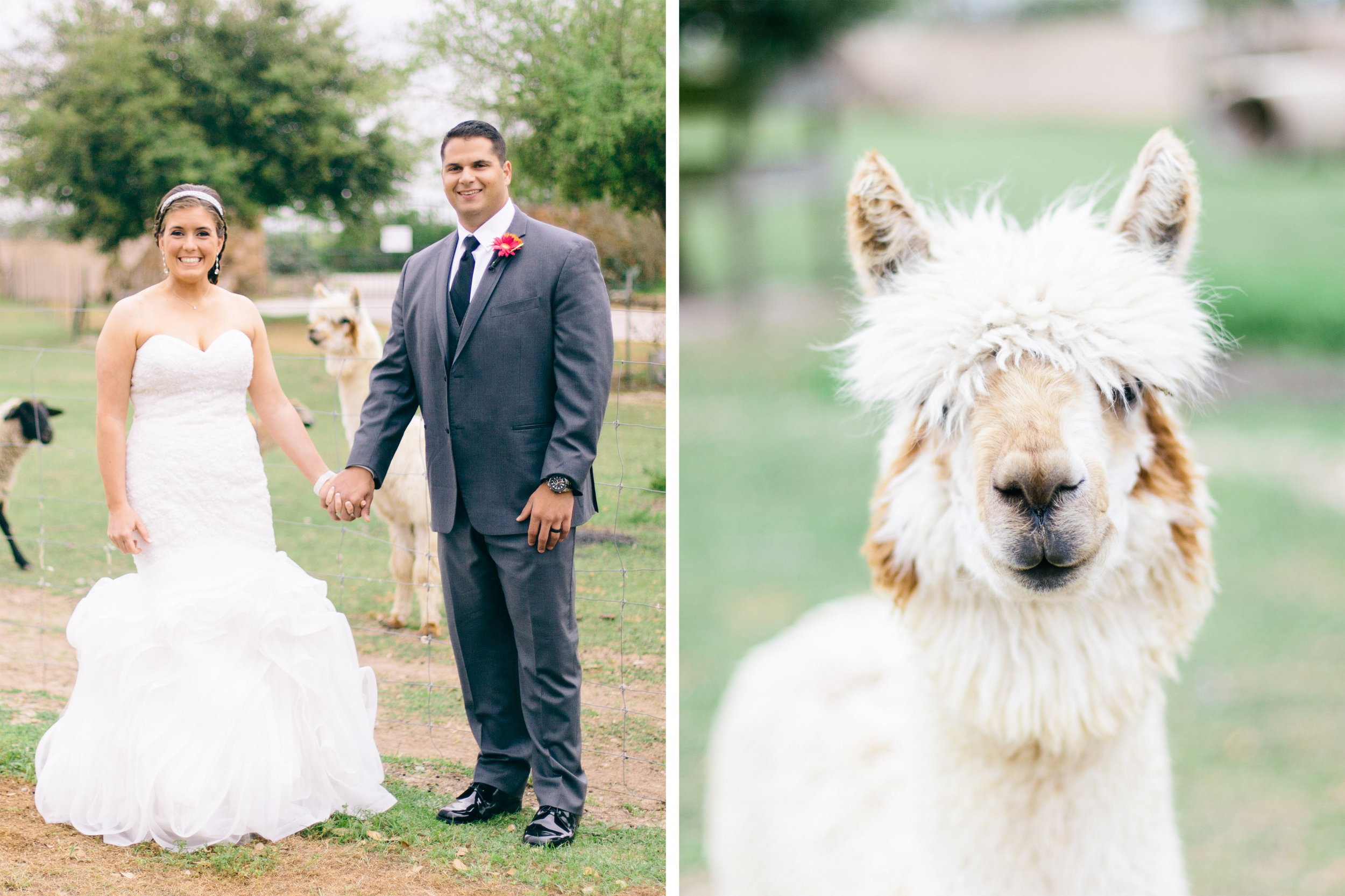 Kim Schaffer Katy, Texas Wedding Photography