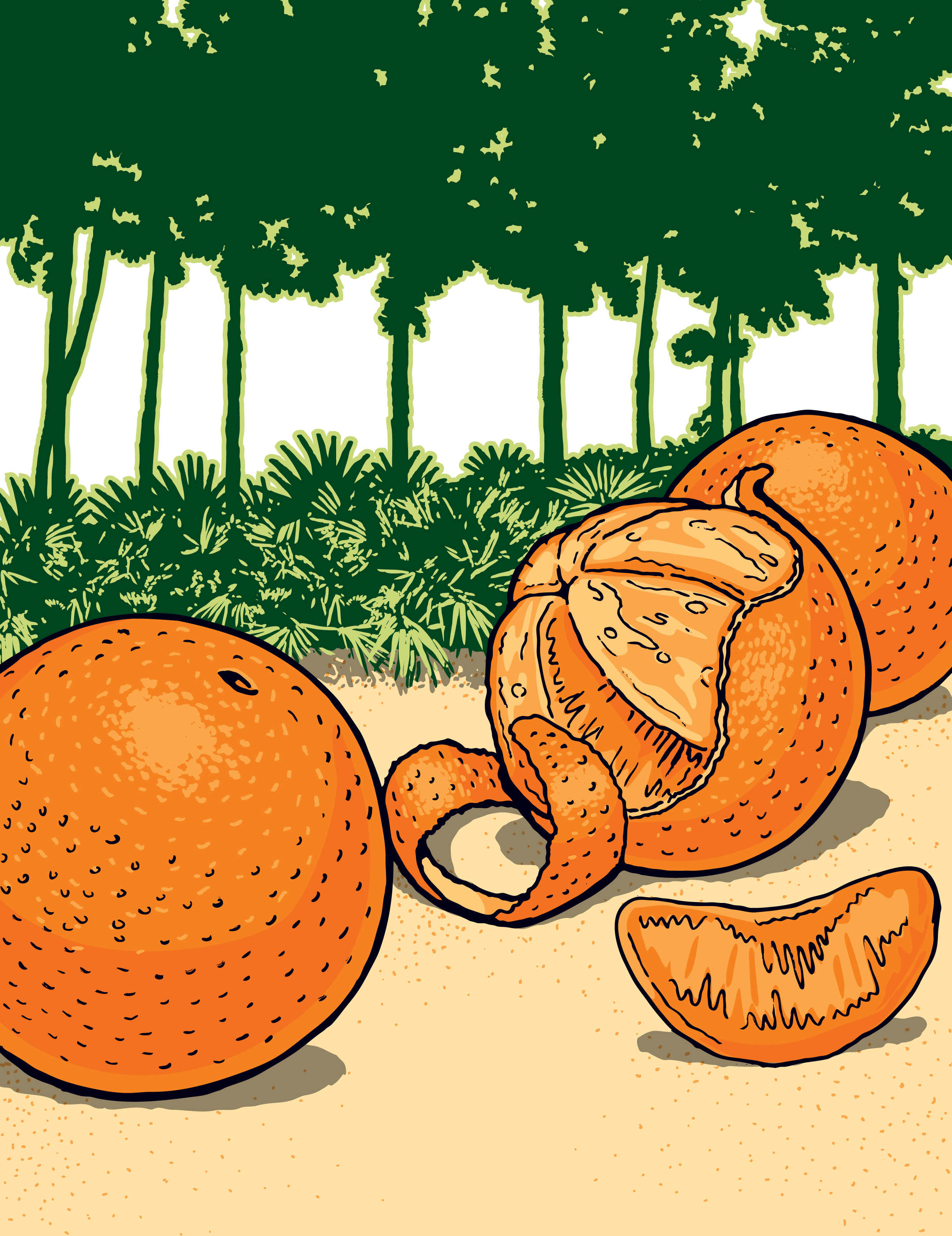 Oranges.jpg