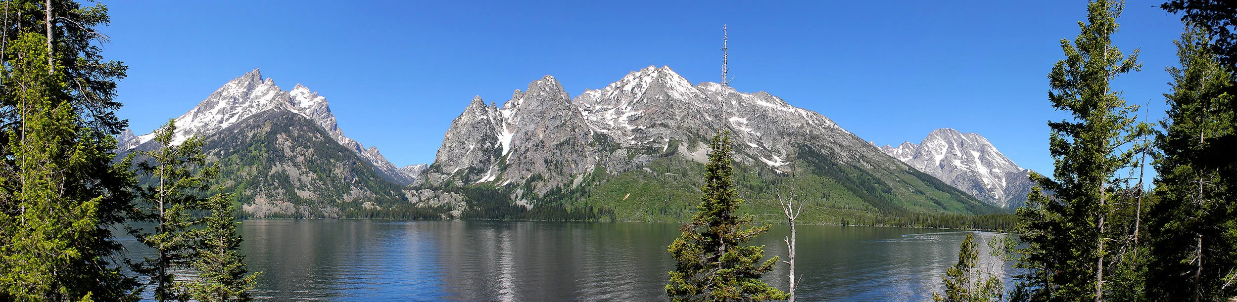 Jenny LAKE lowres.jpg