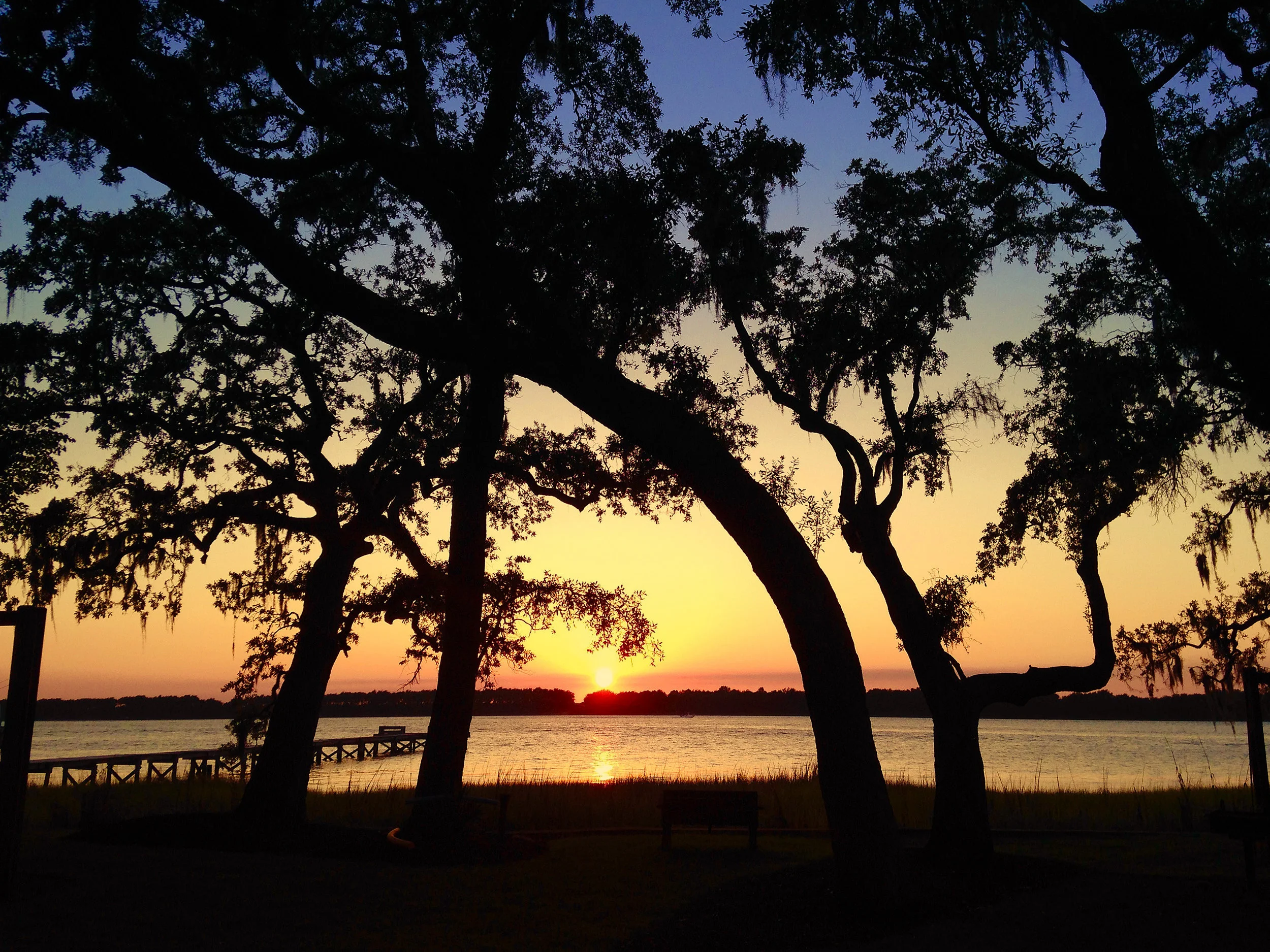 OAKTREE_SUNSET3.jpg